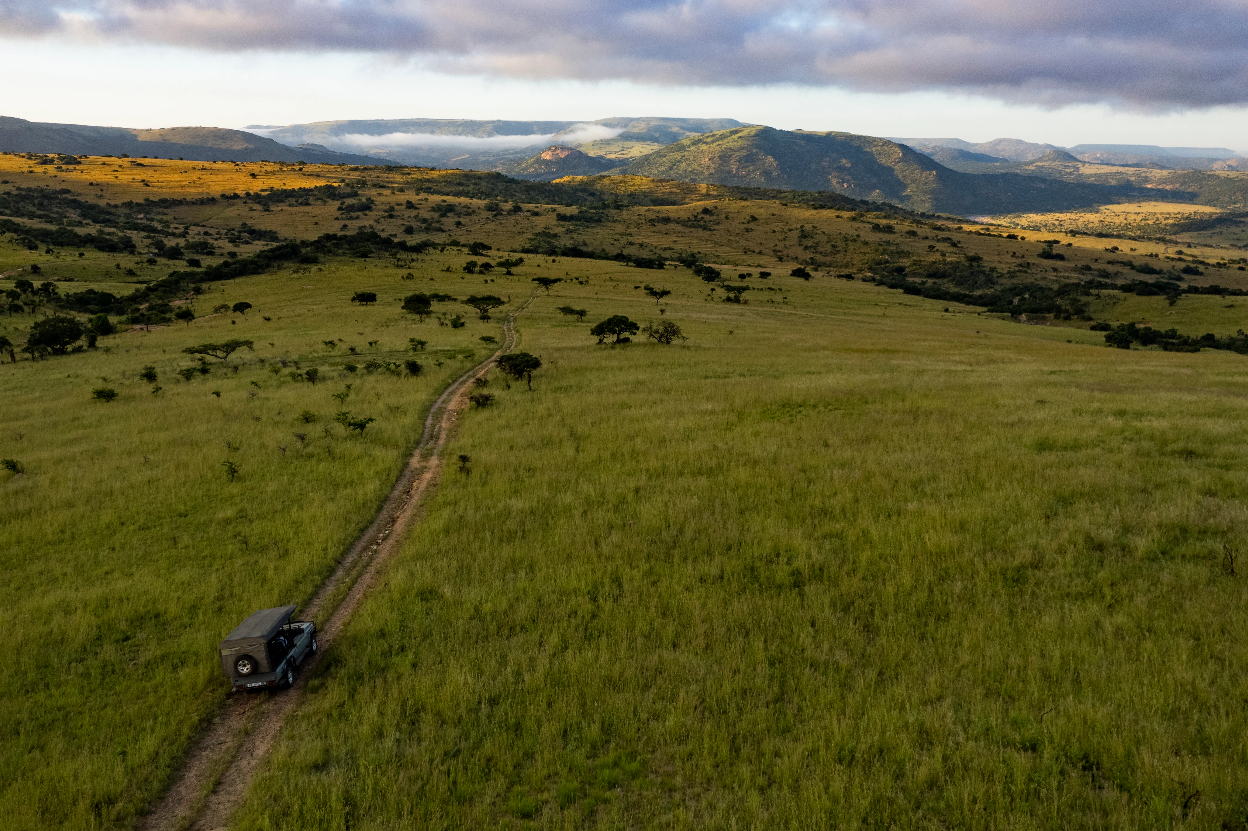 Aerial view of a dark-colored safari vehicle driving along a dirt track through expansive green rolling hills and savanna grasslands, with distant mountains under a morning sky.