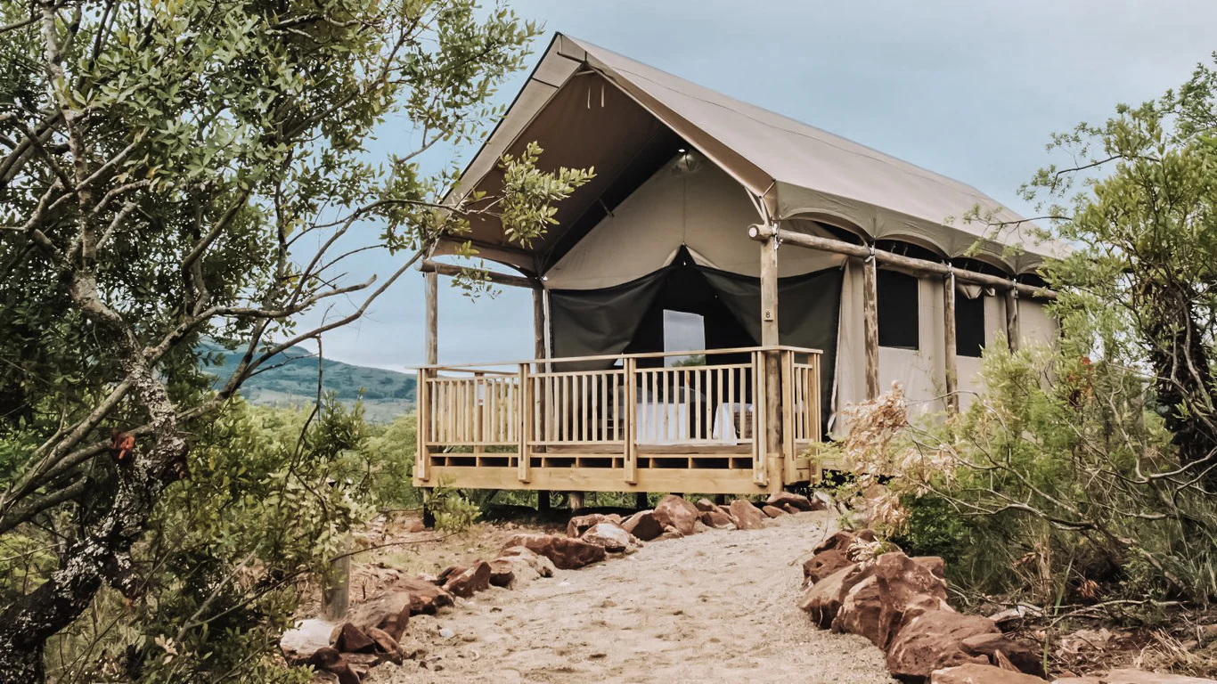 A luxury safari tent set on a wooden platform at Matatane Camp, surrounded by natural bushveld with a dirt path leading up to its deck.