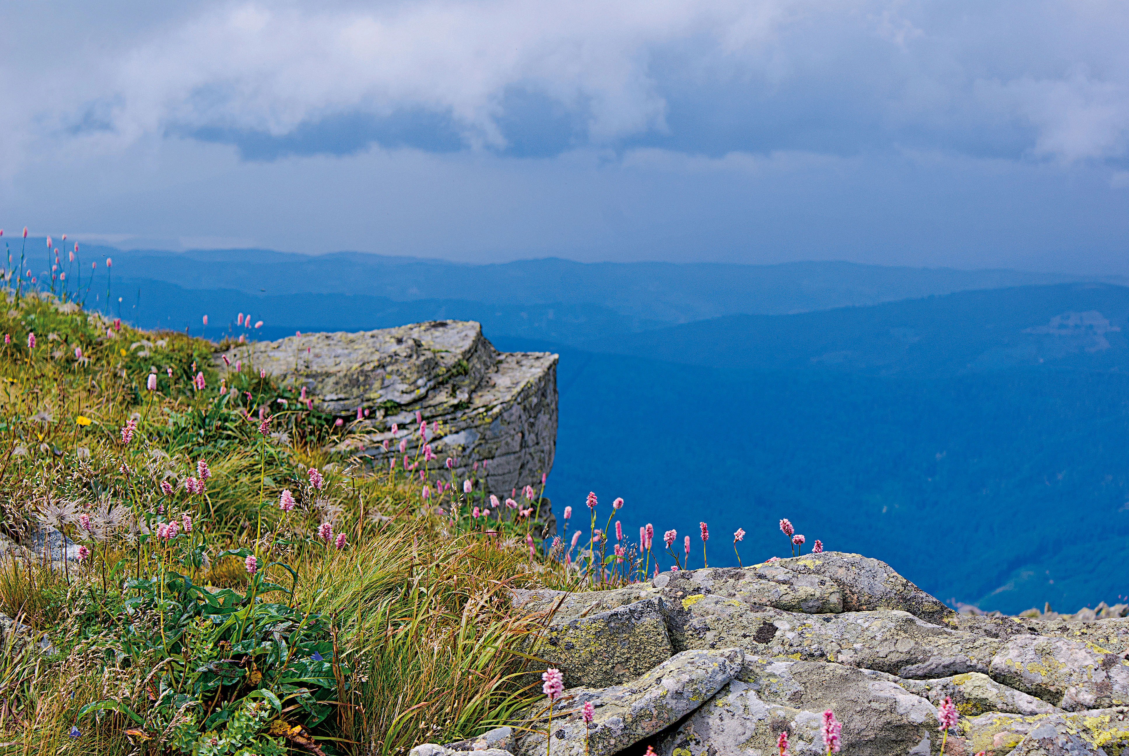 Rock debris field below Diablak with alpine vegetation, featuring rocky terrain and pink alpine flowers against a mountainous backdrop