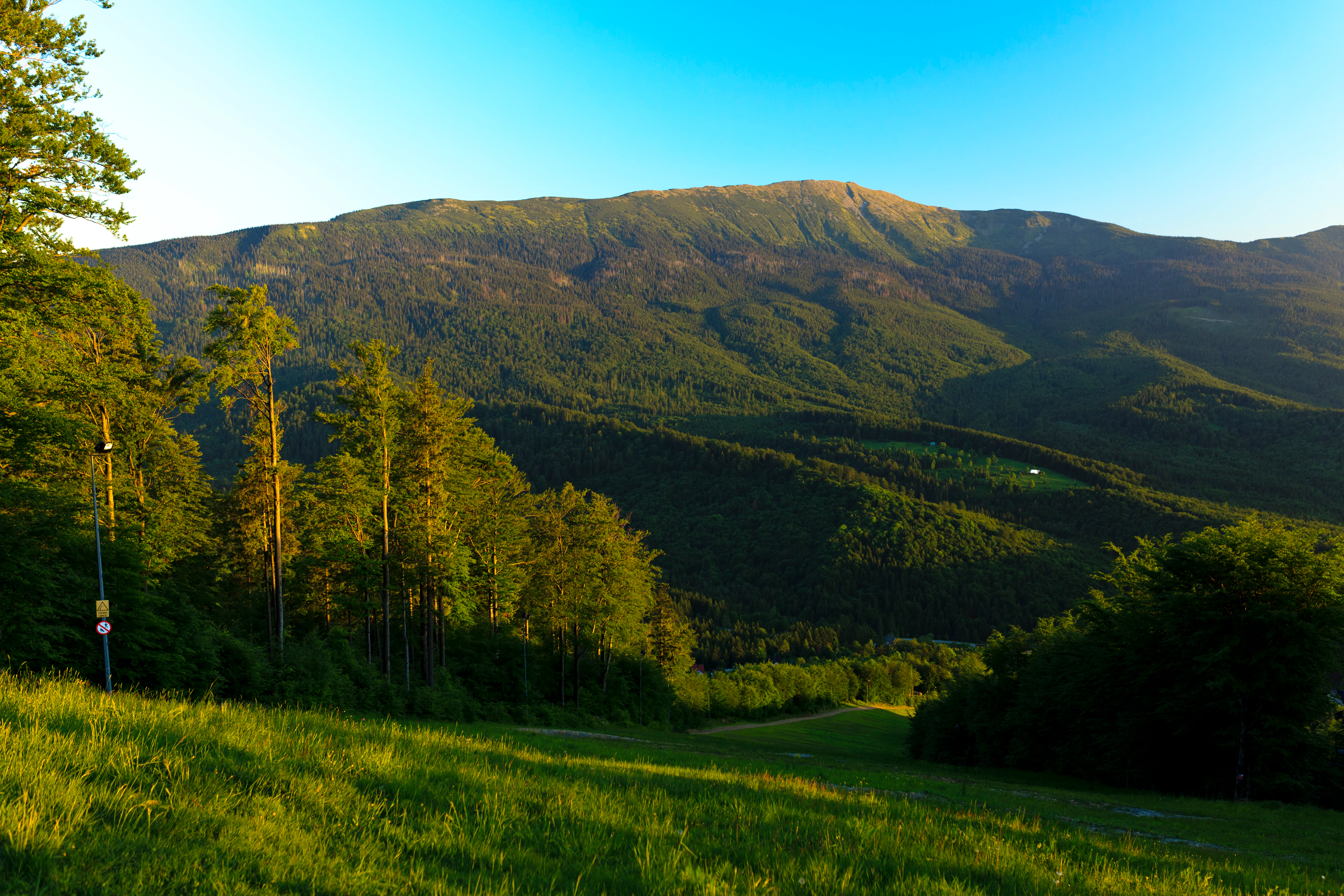 Mountain landscape showing Babia Góra with forested slopes and grassy foreground under clear blue sky