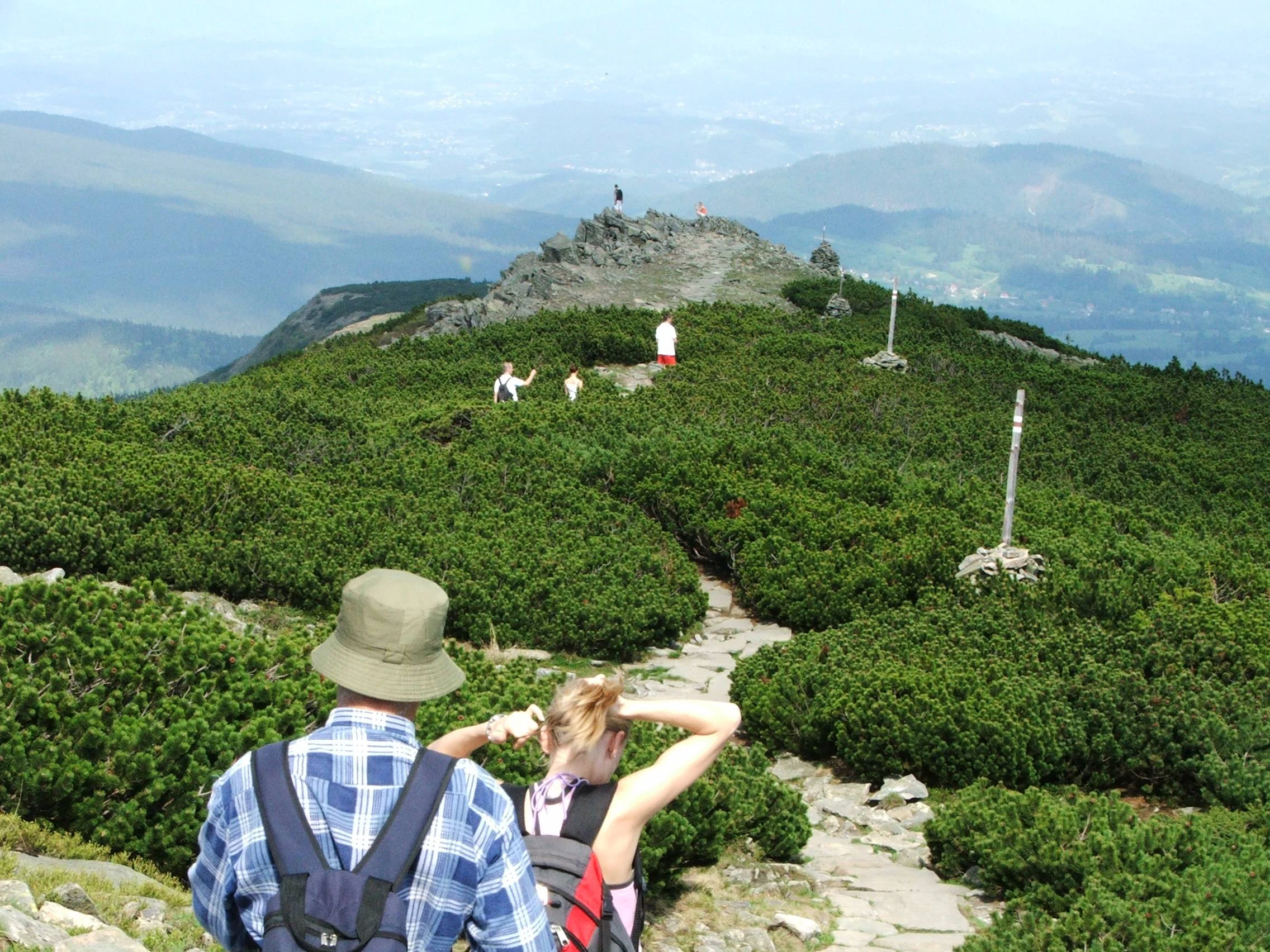 Rear view of two hikers on a stone trail, with a sprawling landscape of low, dense mountain pine shrubs and a distant rocky peak visible in the background under a hazy sky.