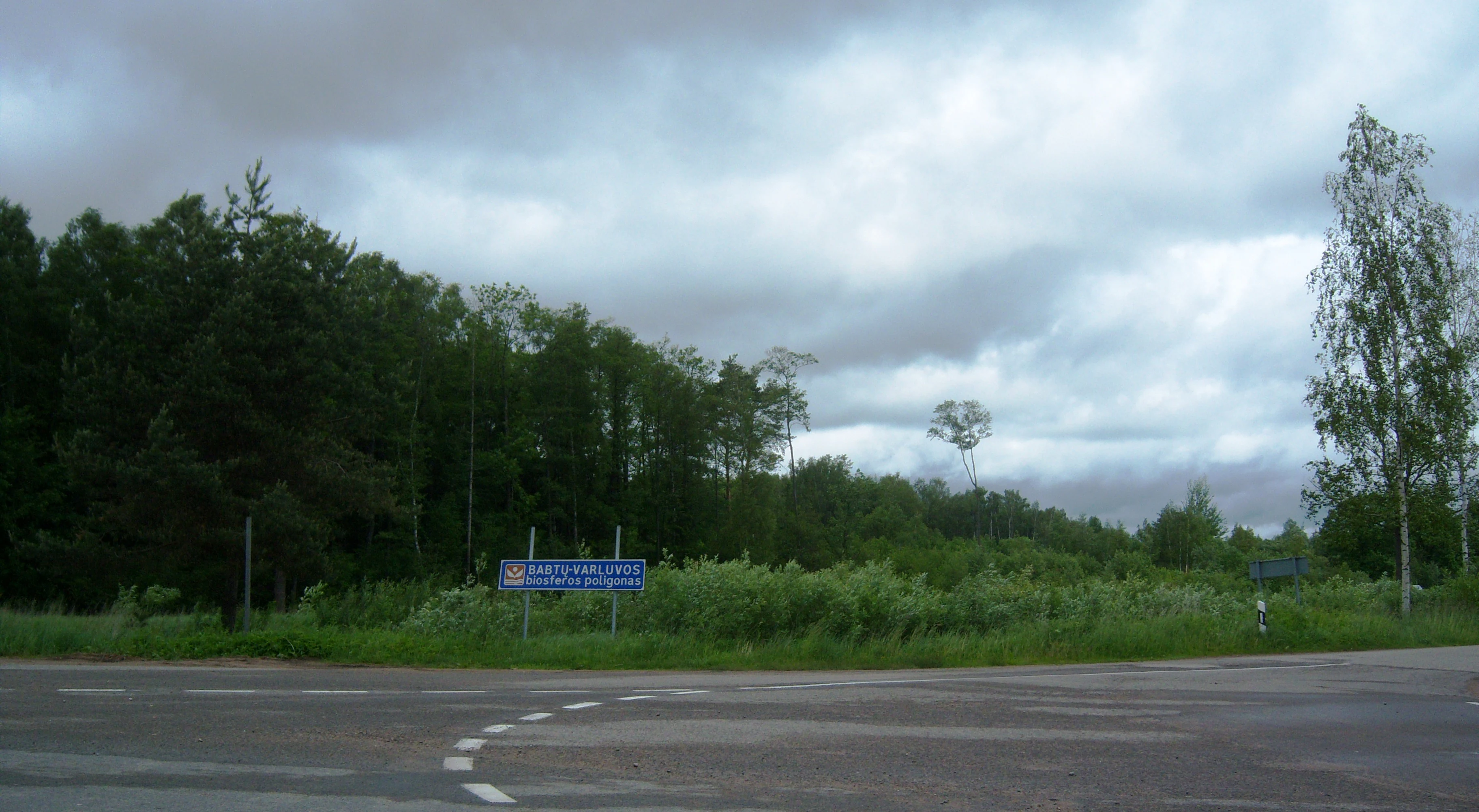 A blue informational road sign stands at the edge of a dense forest with a cloudy sky overhead.