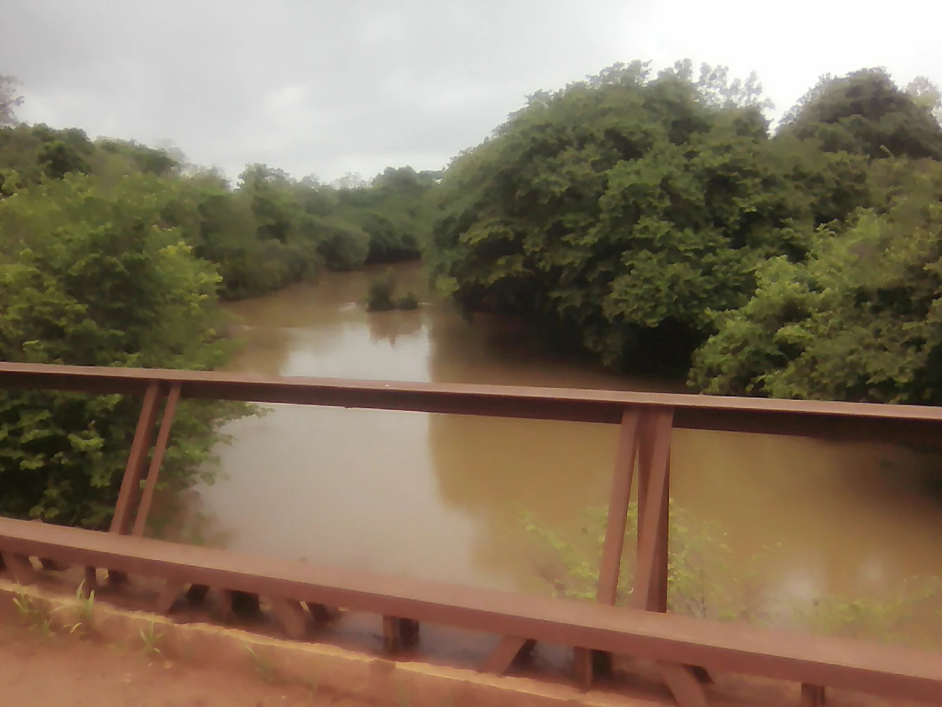 Una barandilla de puente de metal de color marrón rojizo en primer plano, con un río de color marrón turbio y densos árboles verdes en ambas orillas bajo un cielo gris nublado