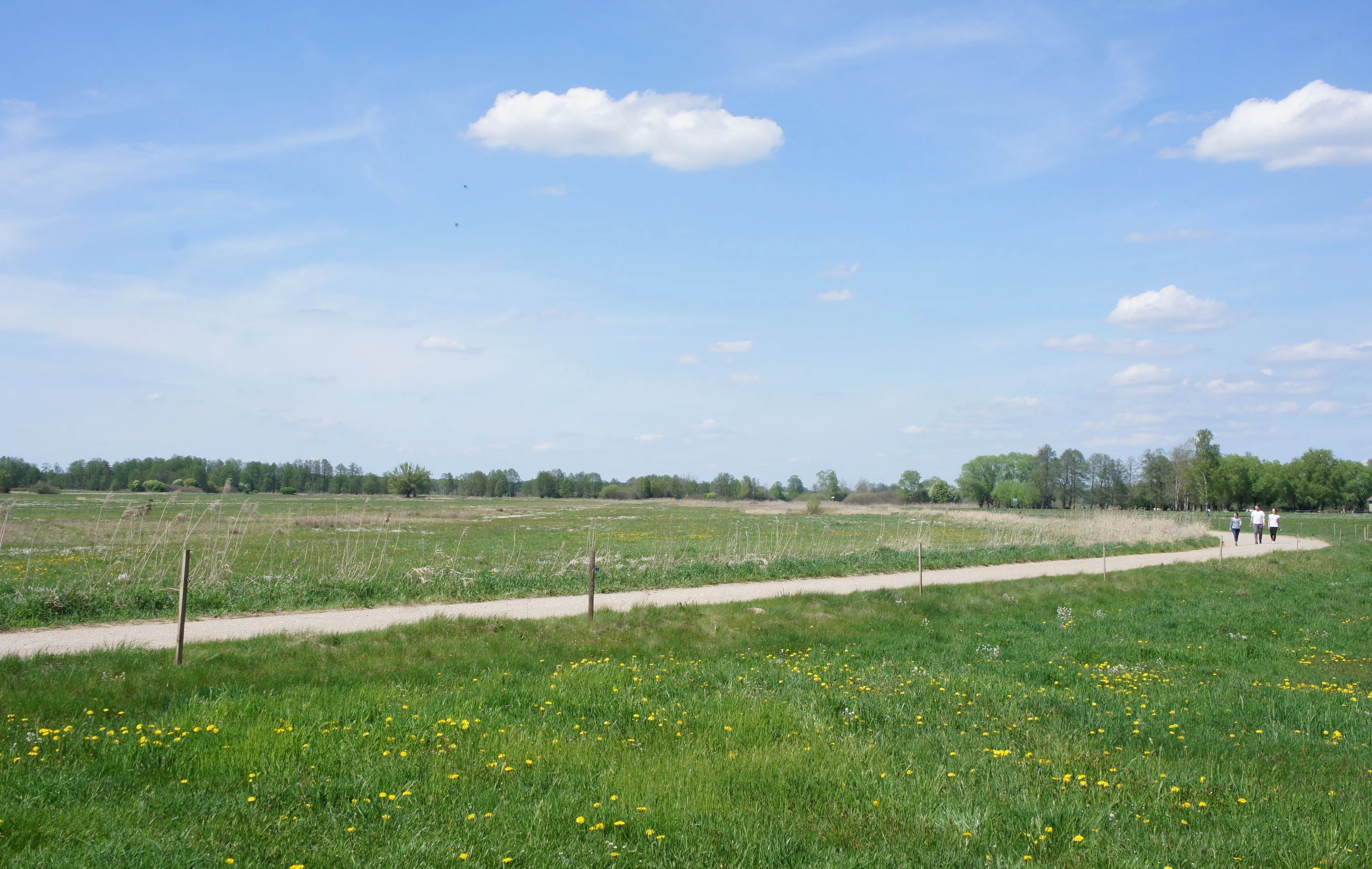 A wide shot of a gravel path cutting through a green, grassy field with a line of trees in the background under a blue sky with scattered clouds.