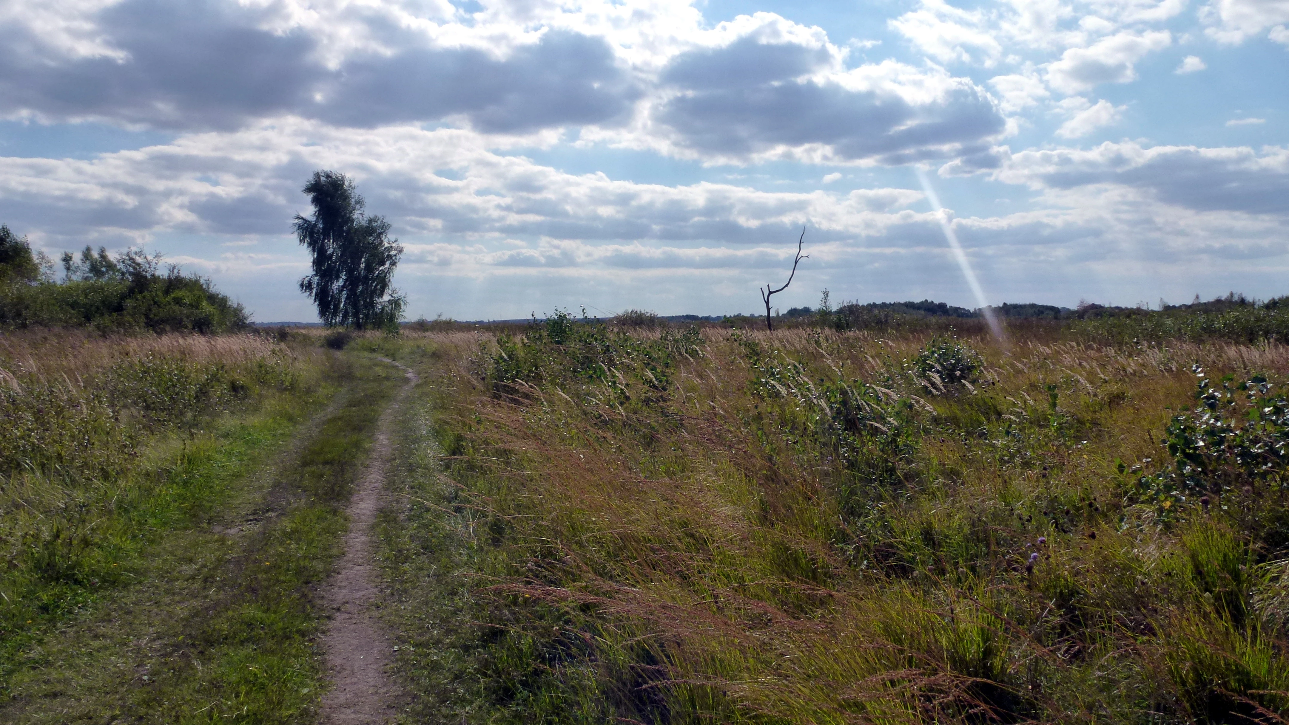 A narrow dirt path leads through a vast, grassy peatland landscape under a bright, partly cloudy sky.