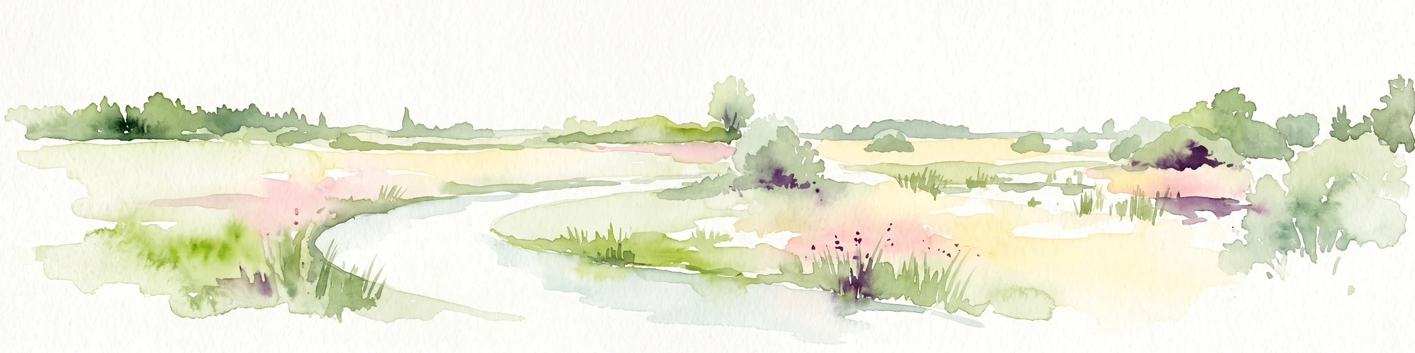 A horizontal watercolor illustration of a marshy landscape featuring a winding stream, soft green grasses, and clusters of wetland vegetation against a light background.
