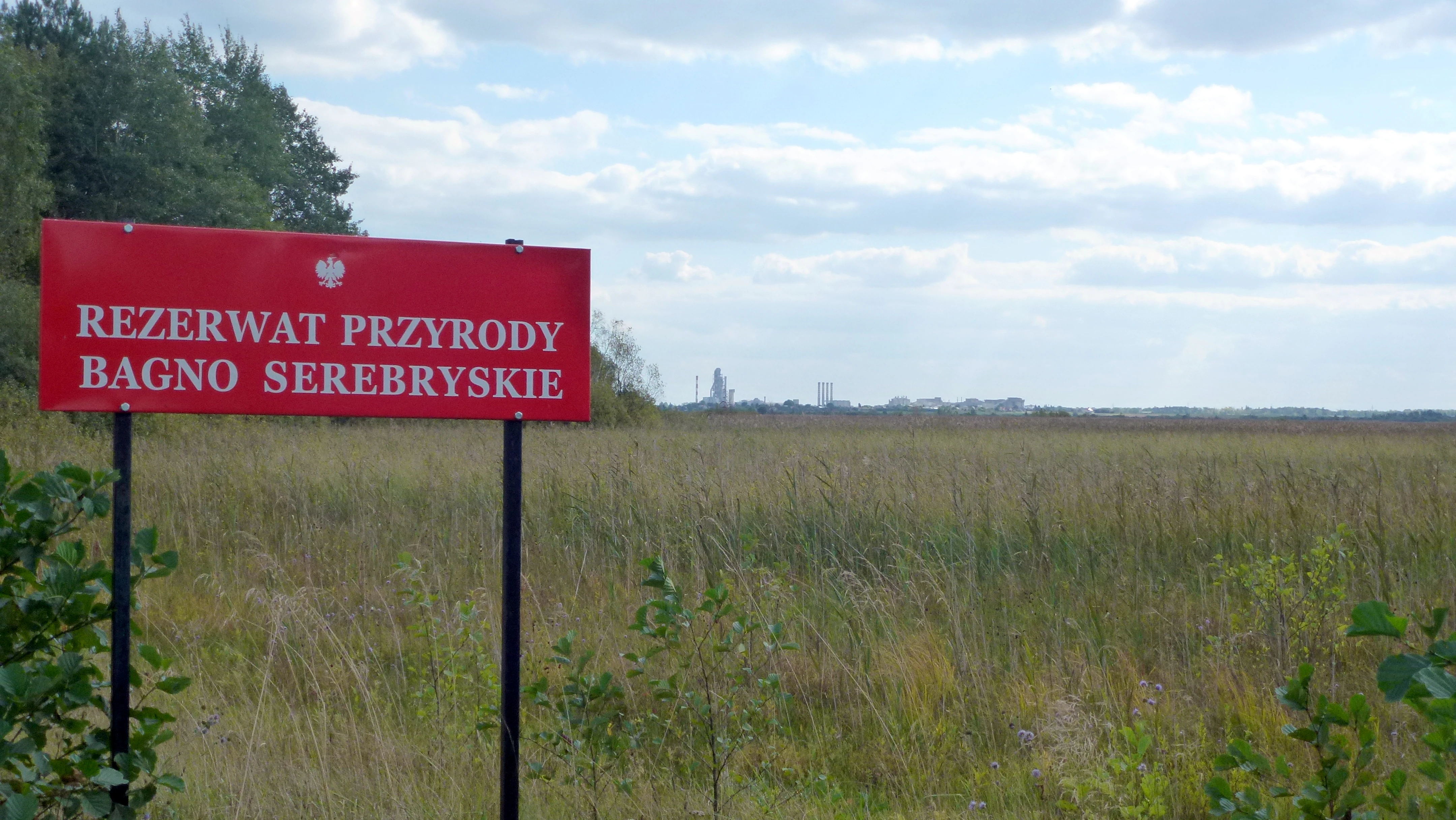 A red rectangular sign with white text reading Rezerwat przyrody Bagno Serebryskie stands on two black posts in front of a vast, grassy peatland landscape under a cloudy sky.