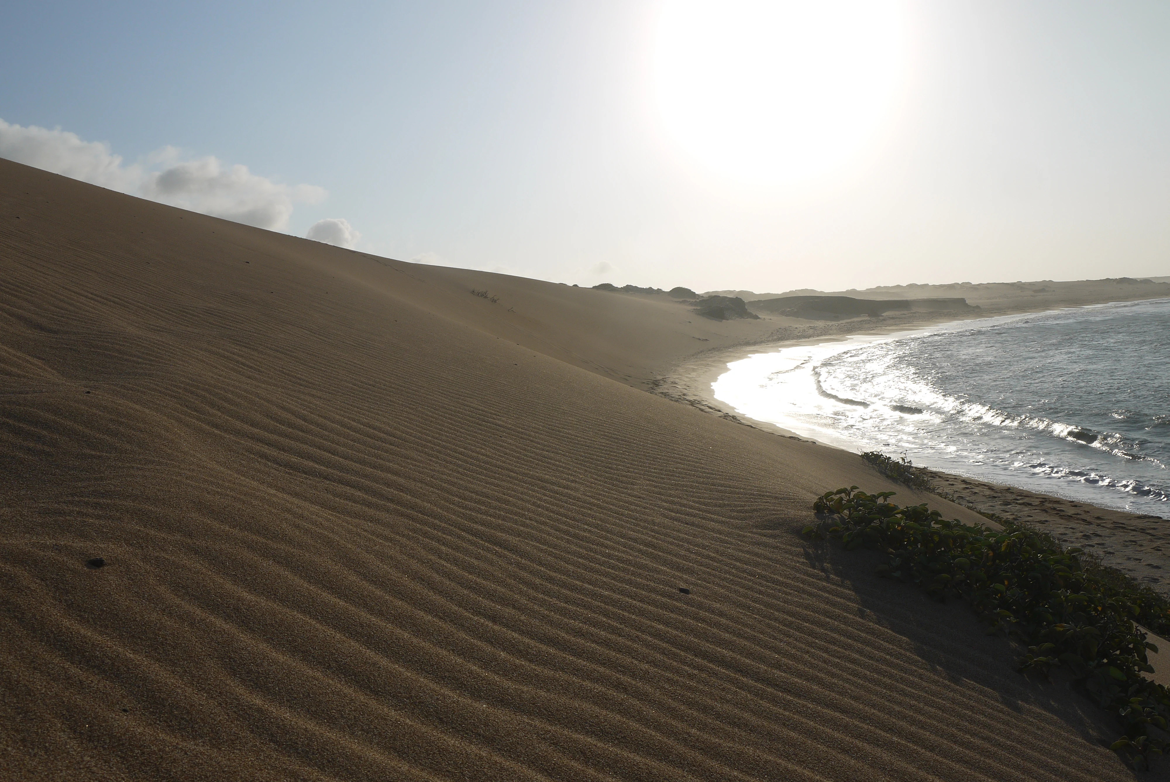 Sand dunes stretching along a coastline with ocean visible on the right and sparse vegetation on the dune slope