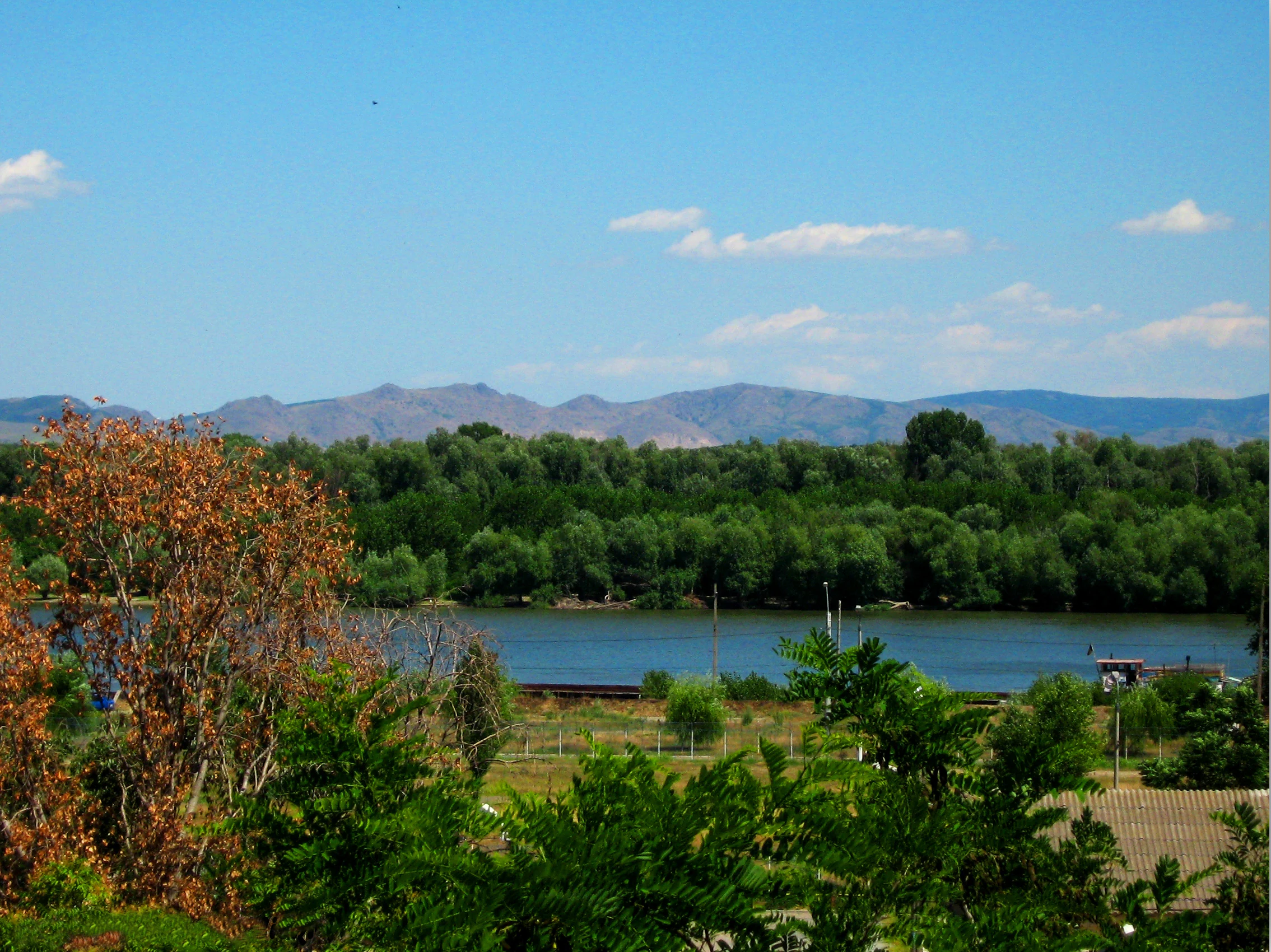Landscape view of a river with dense green trees in the foreground, a body of water in the midground, and distant mountains under a clear blue sky