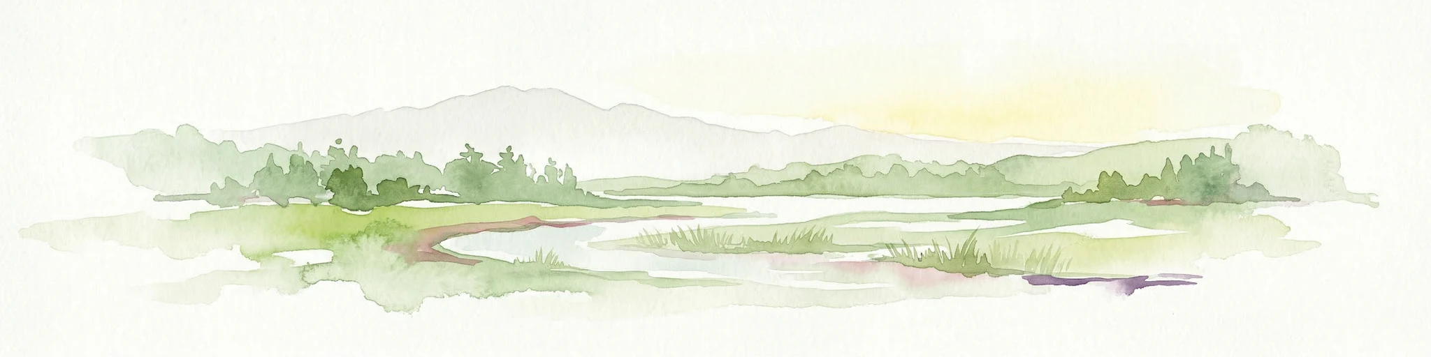 Watercolor illustration of a wetland landscape with lakes, reeds, and distant mountains under a light sky