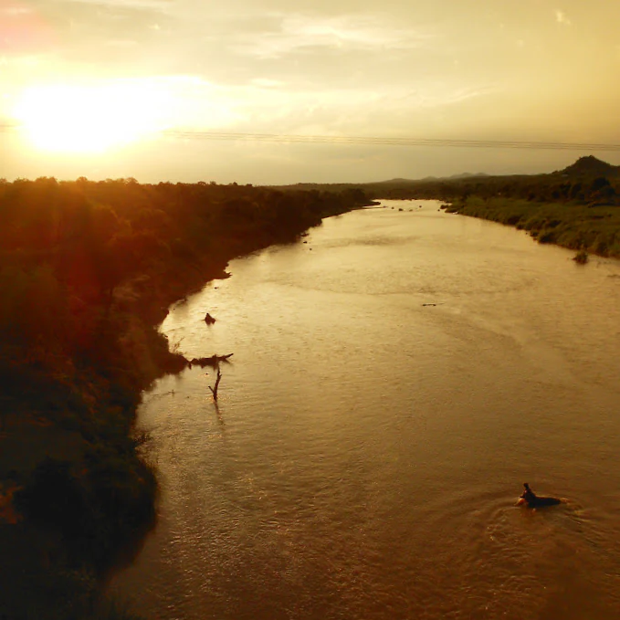 A wide, golden sunset illuminates a winding river, with silhouettes of trees along the bank and a hippo visible in the water.