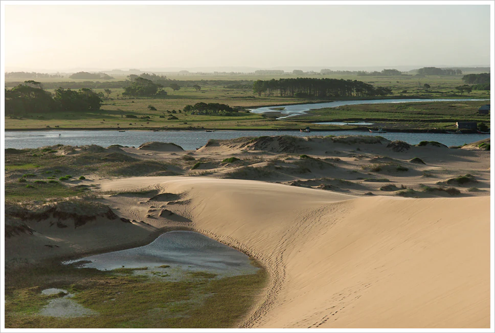 A high-angle view overlooking rolling golden sand dunes in the foreground, with a body of water and green coastal grasslands in the background.