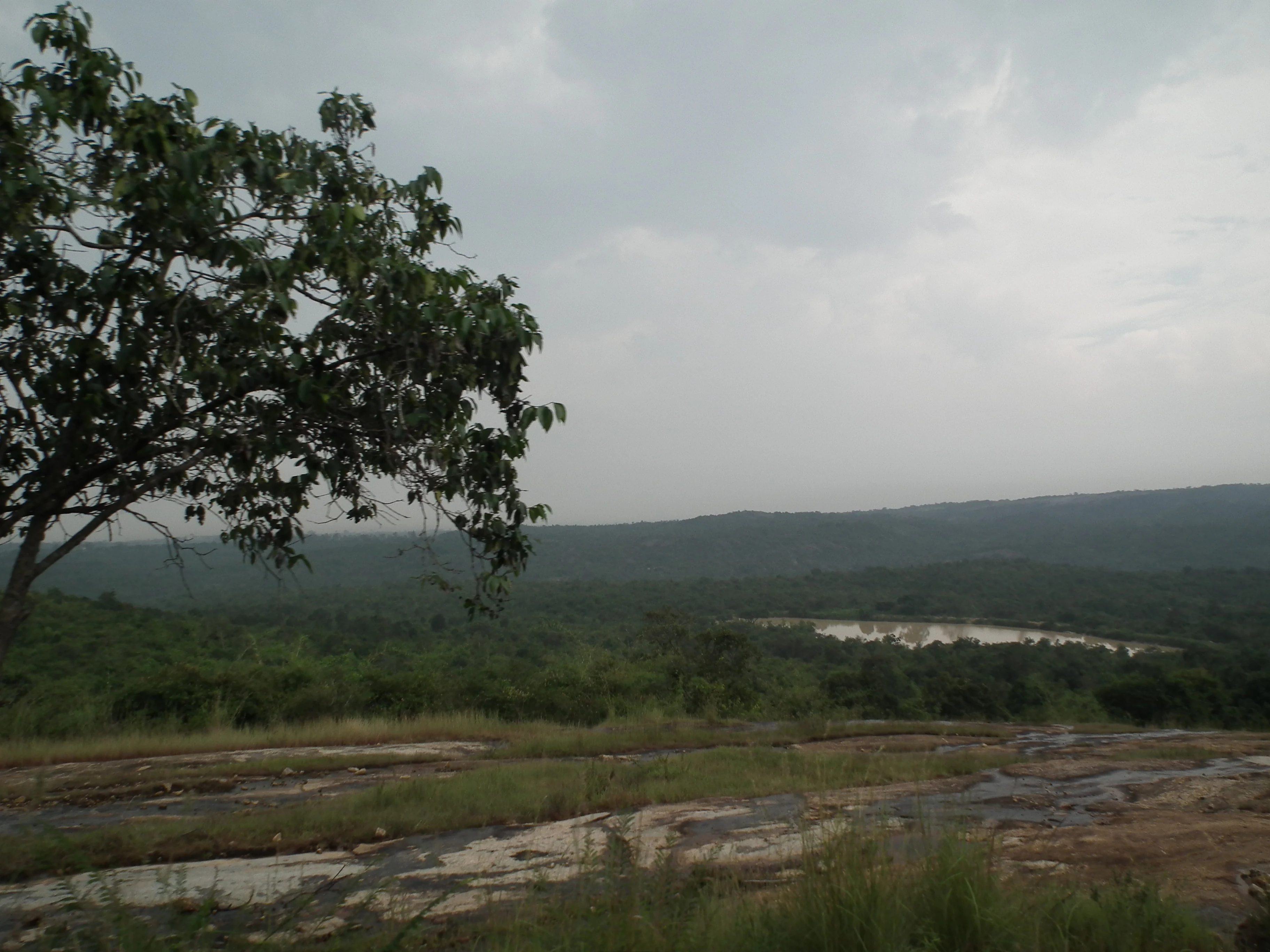 Panoramic landscape showing grassy terrain, forested hills, and a water body in the distance under overcast sky