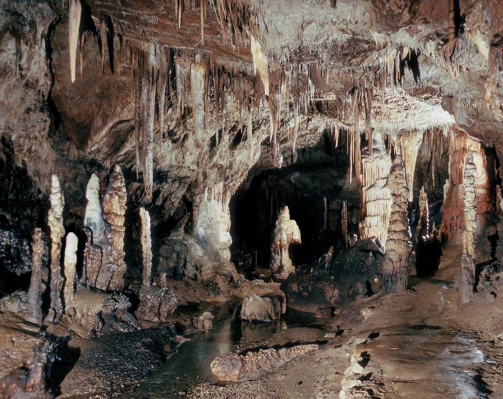A cavern interior with numerous stalactites hanging from the ceiling and stalagmites rising from the floor, including a distinctive formation known as Minerva's Helmet.