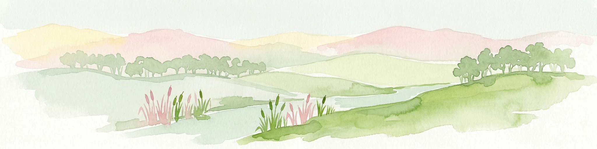 Ilustración de acuarela de un paisaje fluvial con colinas verdes, árboles y juncos rosas