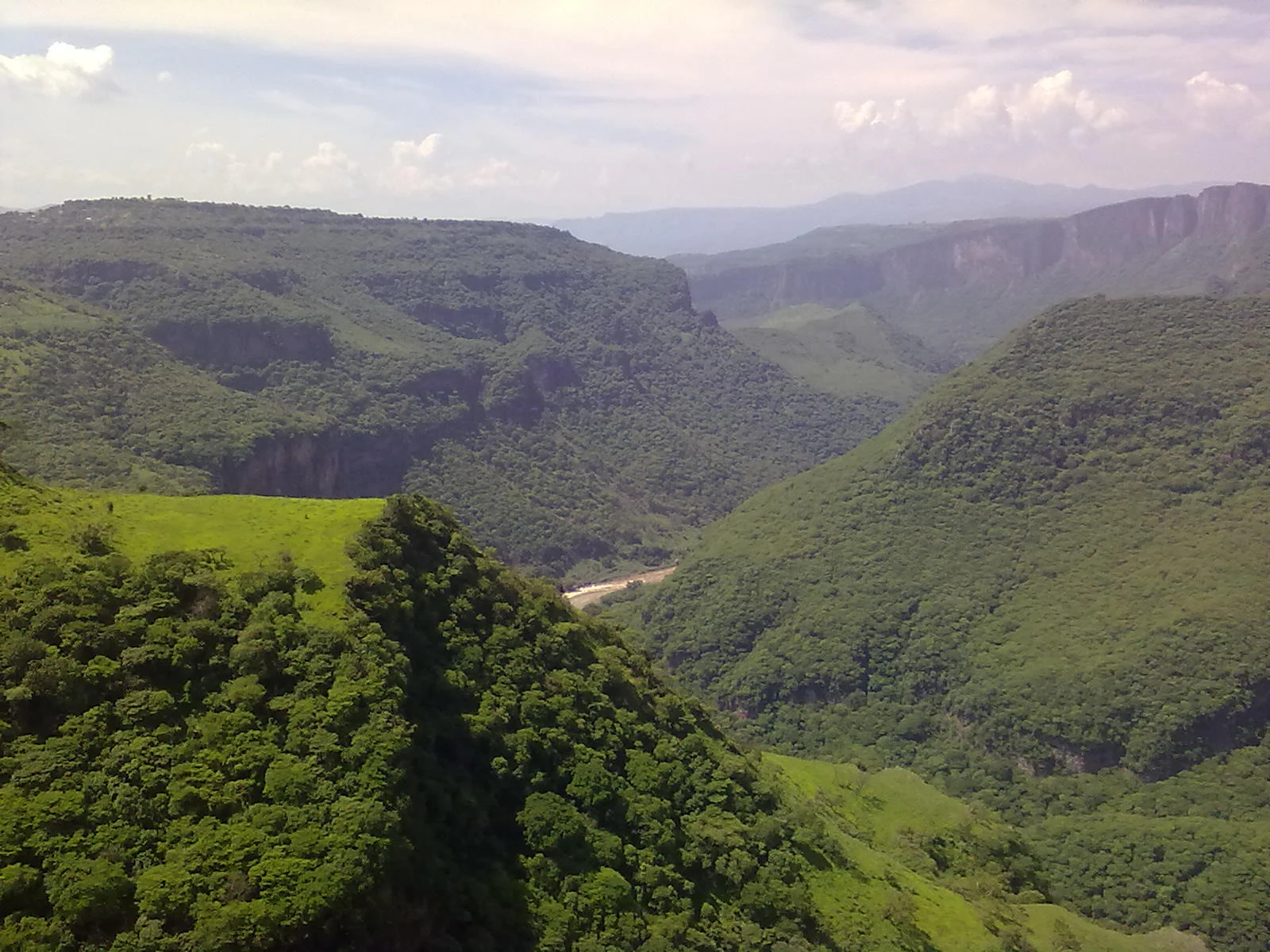 A wide, high-angle view of a deep canyon with steep, green slopes densely covered in vegetation, featuring a river winding through the base and rolling hills in the background.