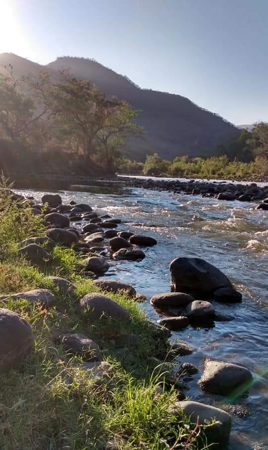 A sunlit, rocky river flowing through a canyon with green vegetation along the bank and a large hill in the background.