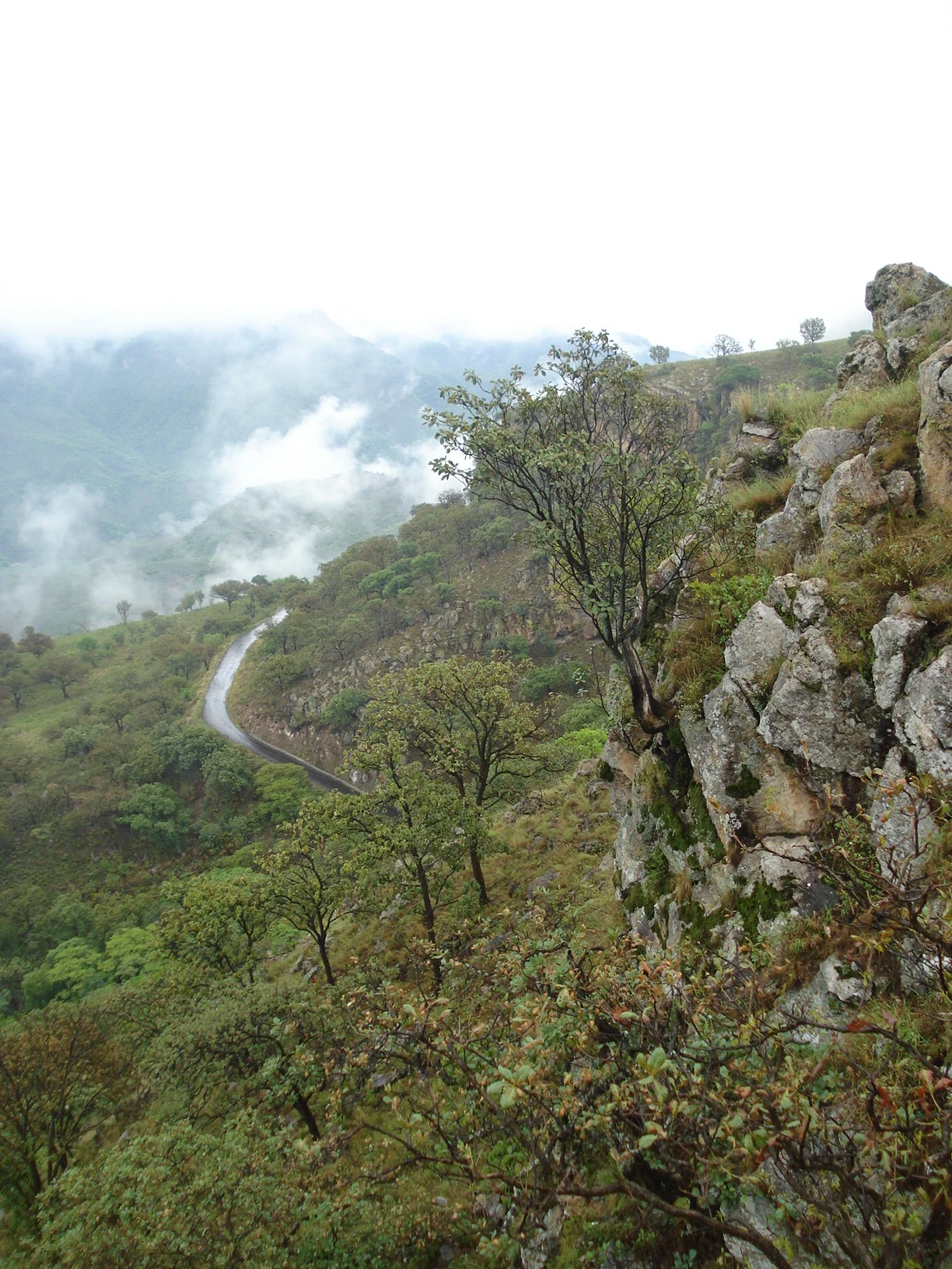 A steep, rocky canyon wall in the foreground with a winding road visible in the misty, vegetated valley below.