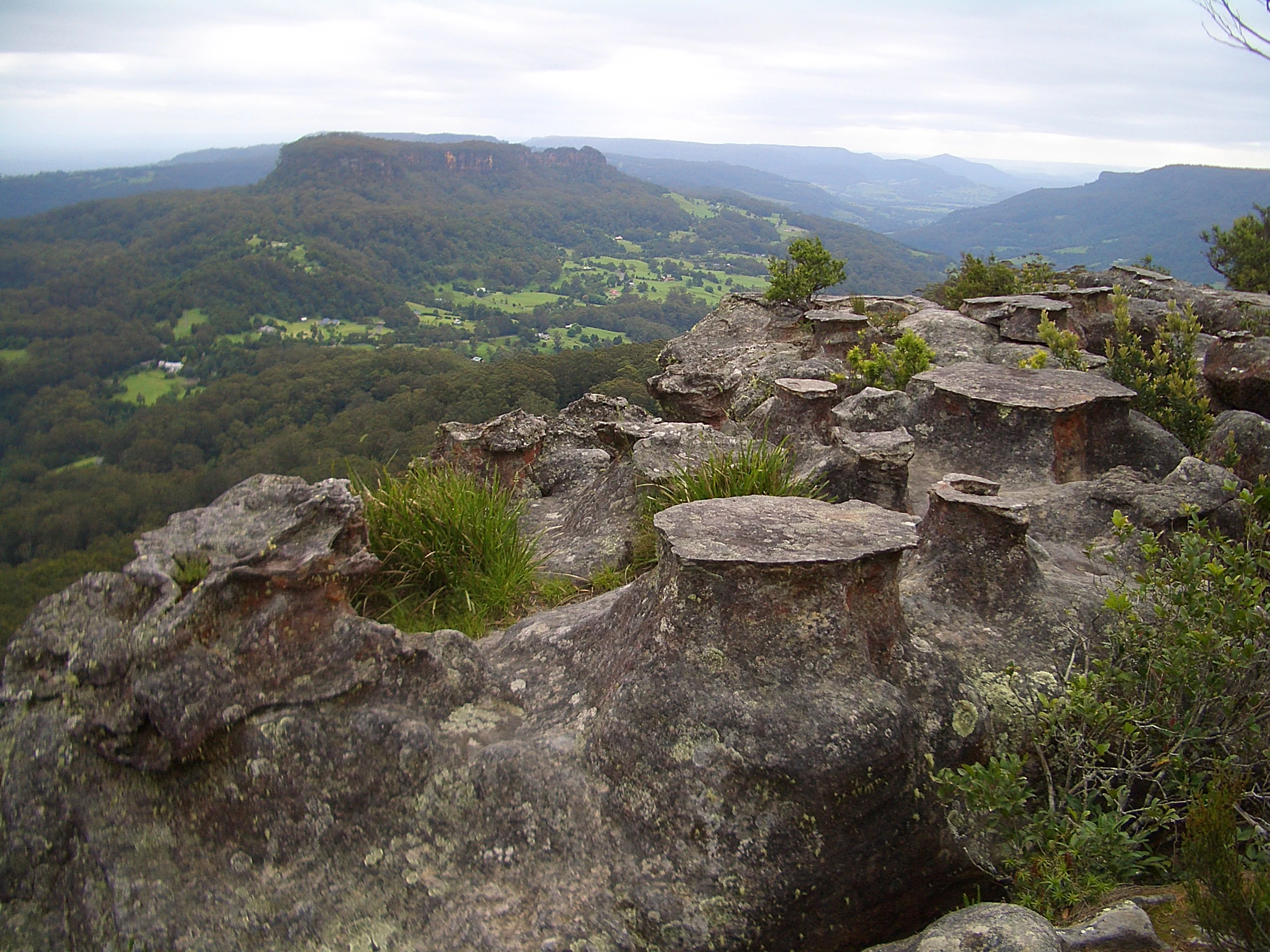 Weathered flat-topped rock formations with sparse shrubs and grasses in the foreground, overlooking a green valley with forested hills and a distant plateau under an overcast sky