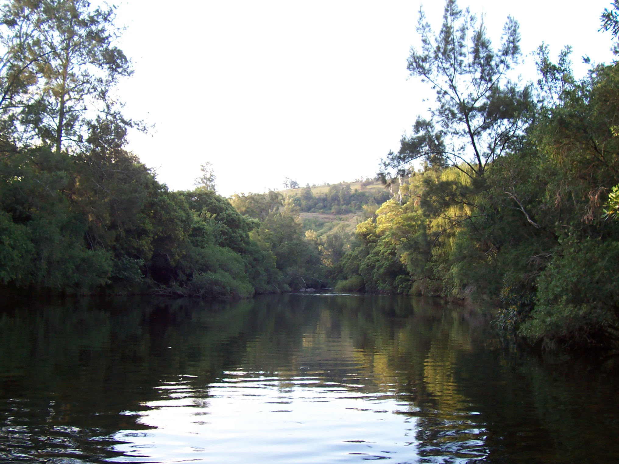 Río tranquilo con reflejos rodeado de densa vegetación verde a ambos lados, con colinas boscosas al fondo