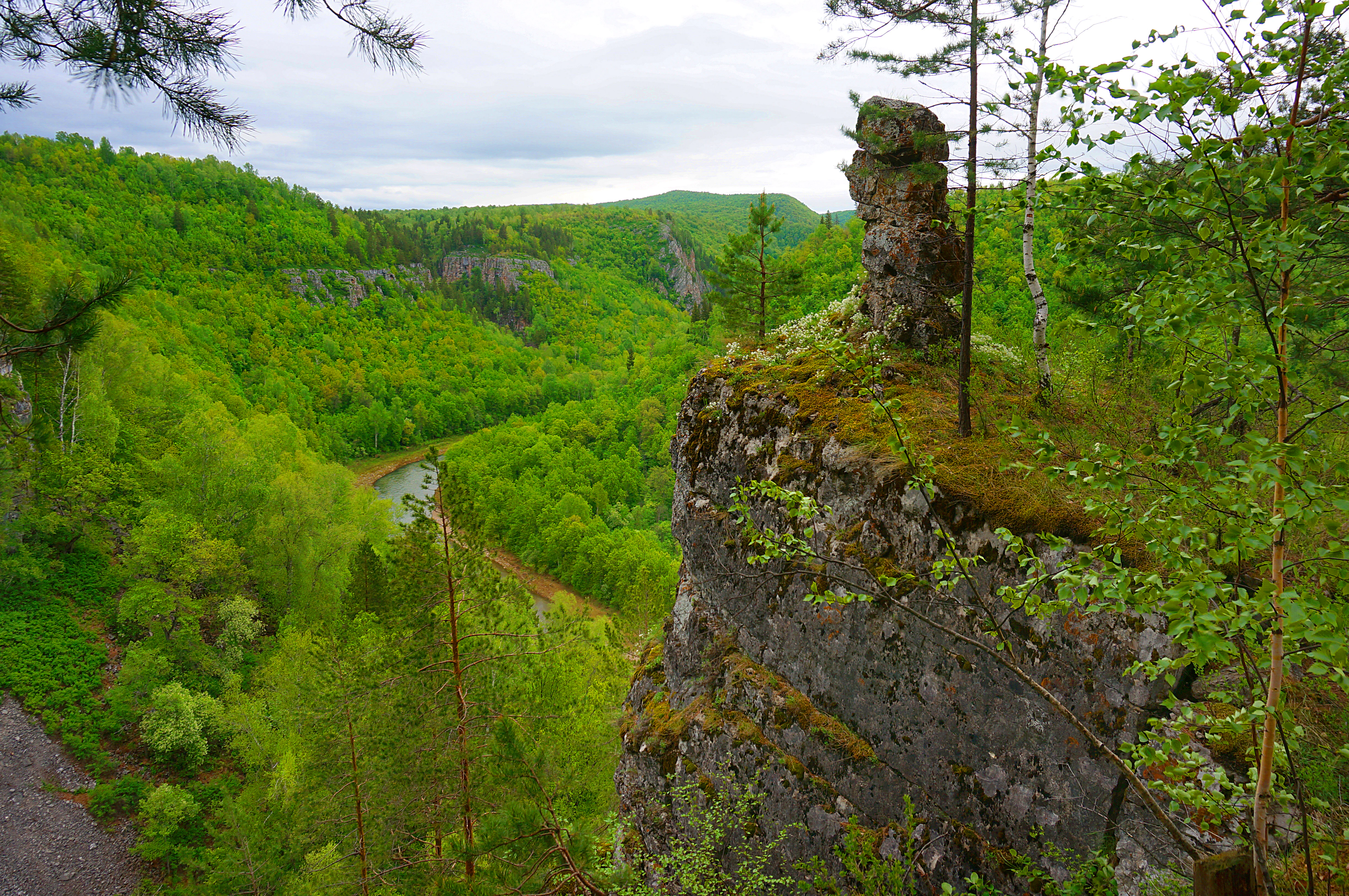 Rocky cliff with moss-covered outcrop overlooking a winding river through dense green forest