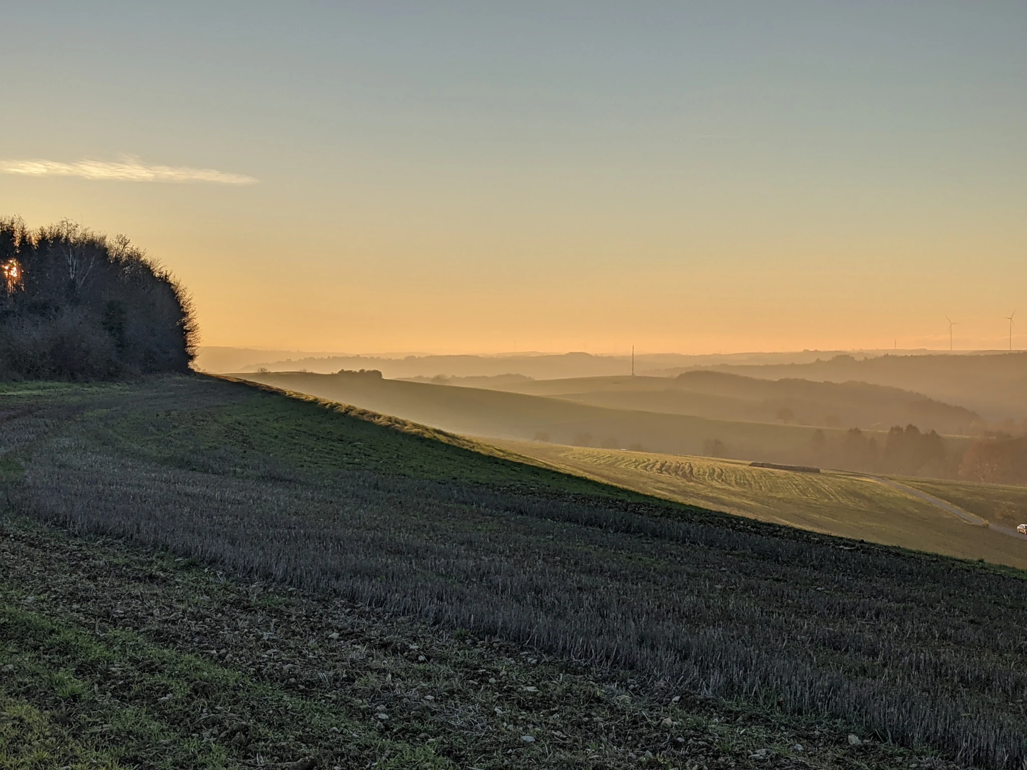 A wide, golden-hour view over rolling hills and cultivated fields, with a tree-lined ridge on the left and a hazy, distant horizon.