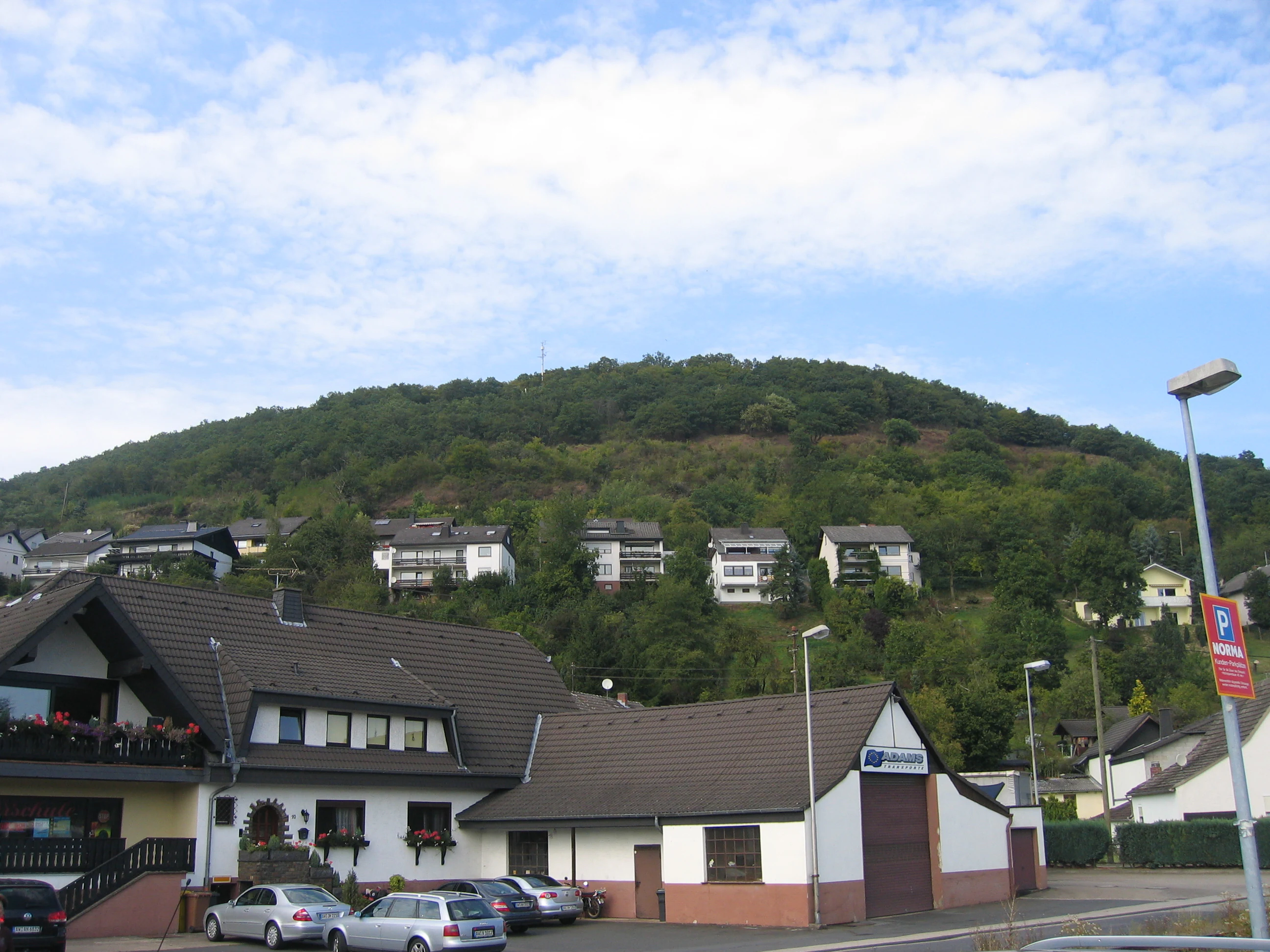 A green, forested volcanic hill rises in the background behind residential houses and commercial buildings in a small town.