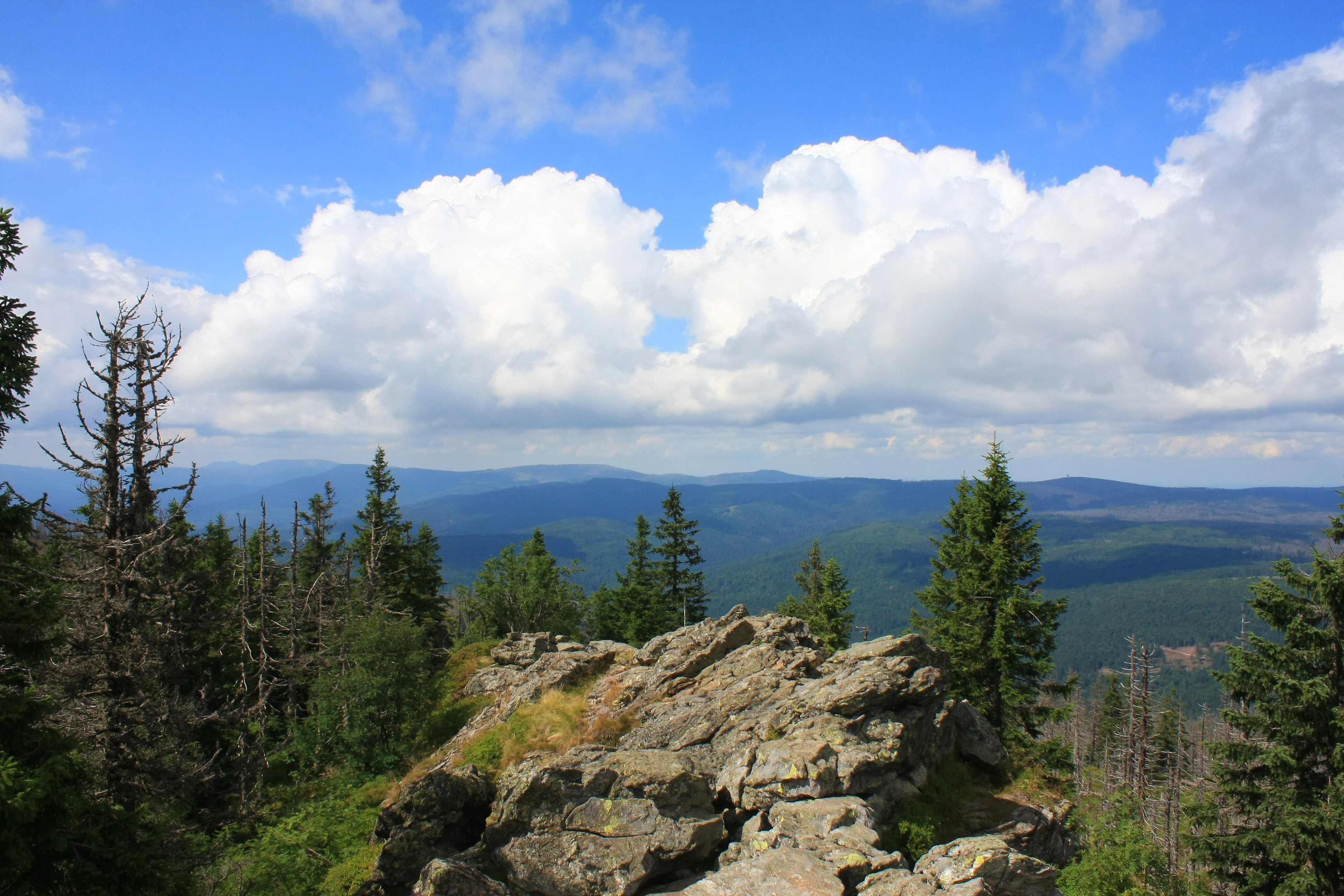 Rocky terrain with pine trees in the foreground and a distant valley with mountains under a partly cloudy blue sky.