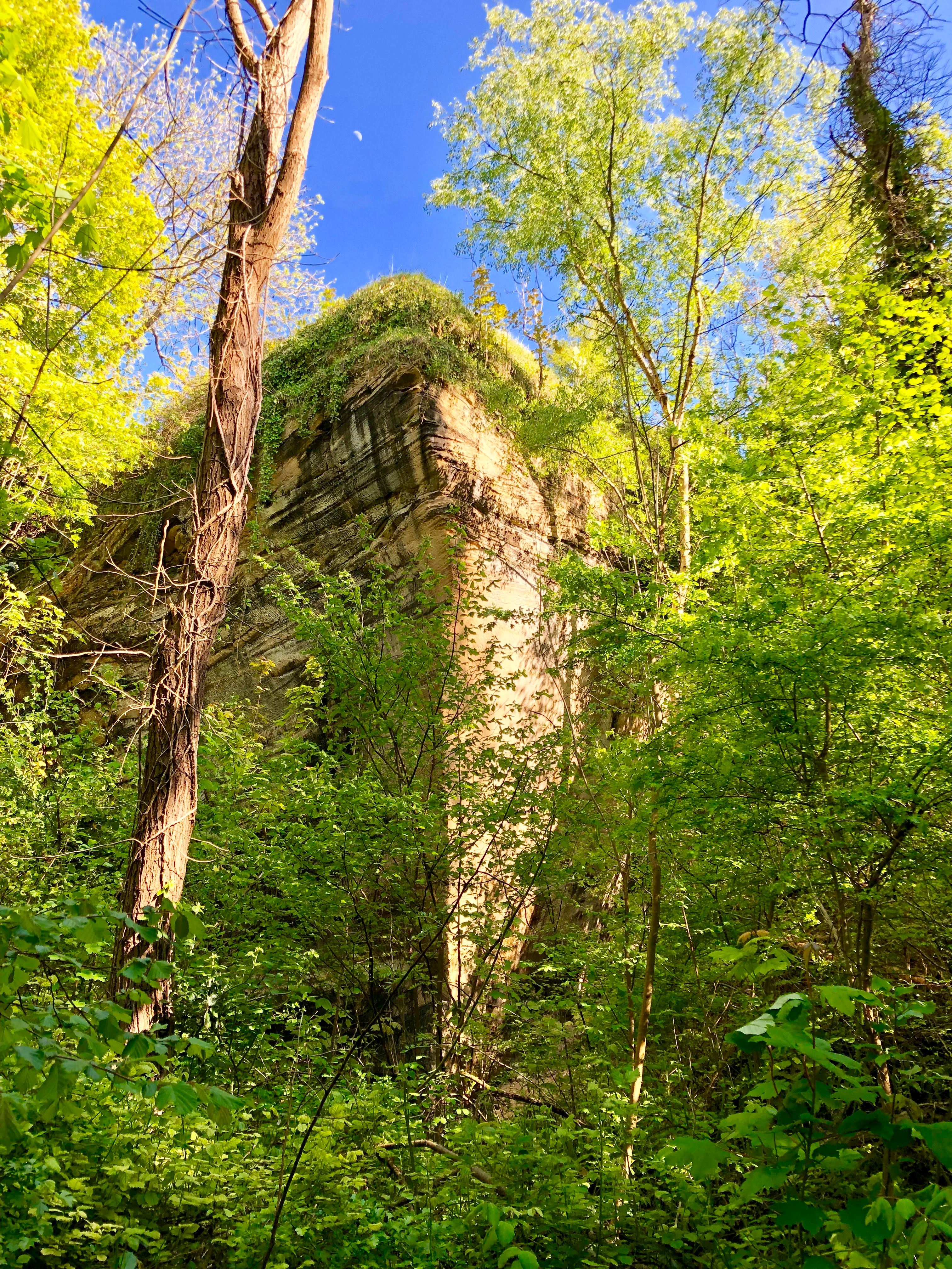 A tall, vertical rock formation emerges from a dense, vibrant green forest under a clear blue sky.