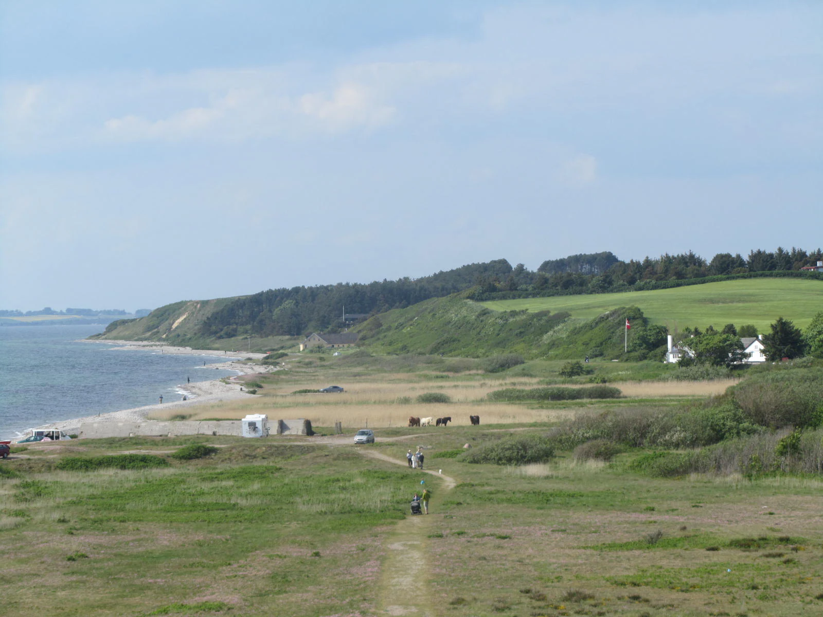 A wide view of a coastal landscape with a dirt path in the foreground leading toward a beach and bay. In the midground, there is a grassy area with sparse trees and buildings, and in the background, a low cliff line topped with dense green vegetation.