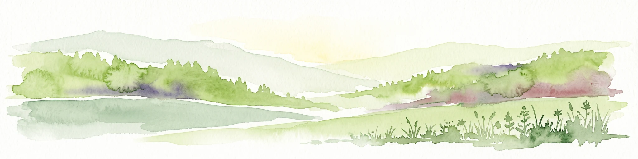 A soft watercolor illustration of rolling hills, forested slopes, and meadow vegetation with a light, airy aesthetic.