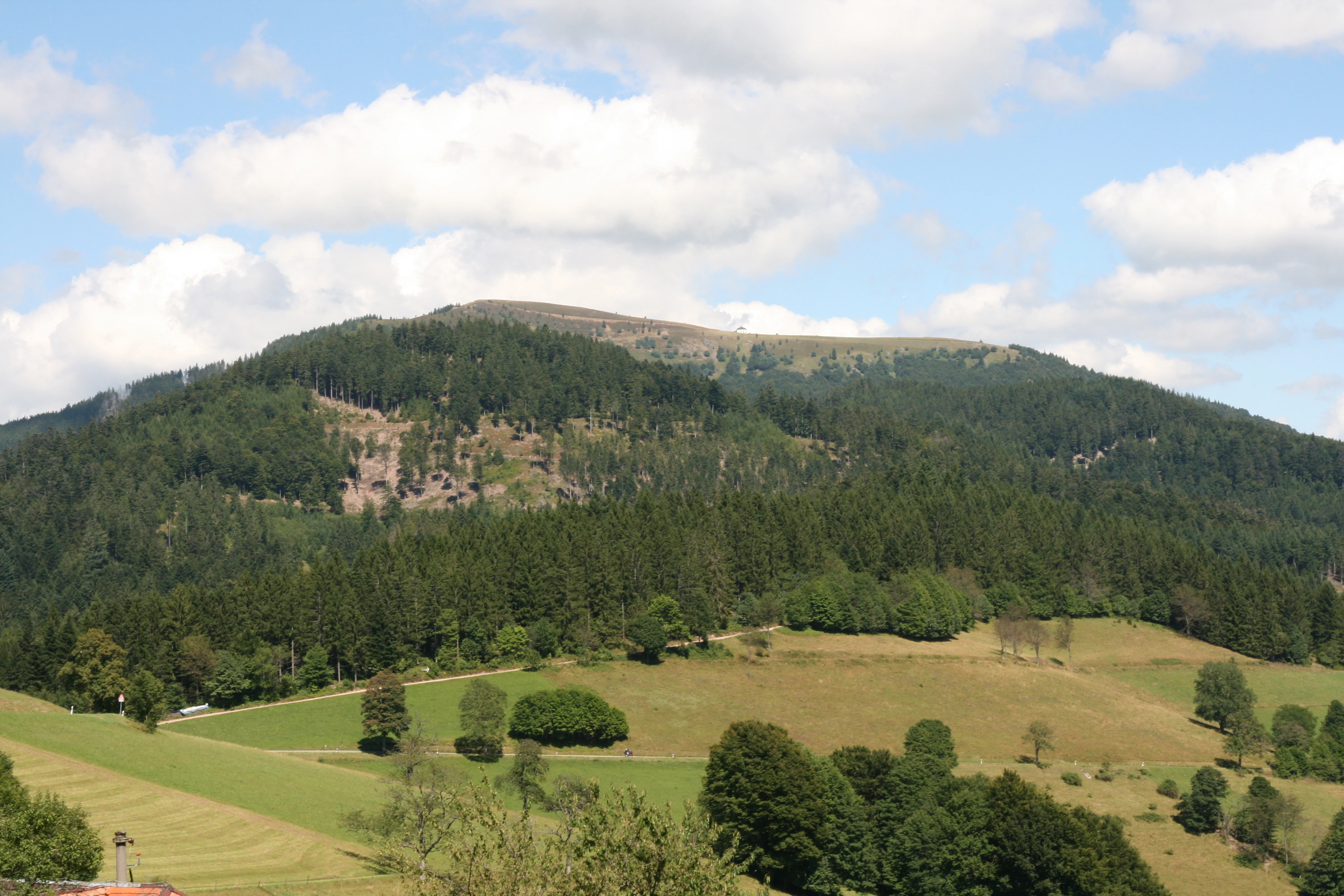 Belchen View