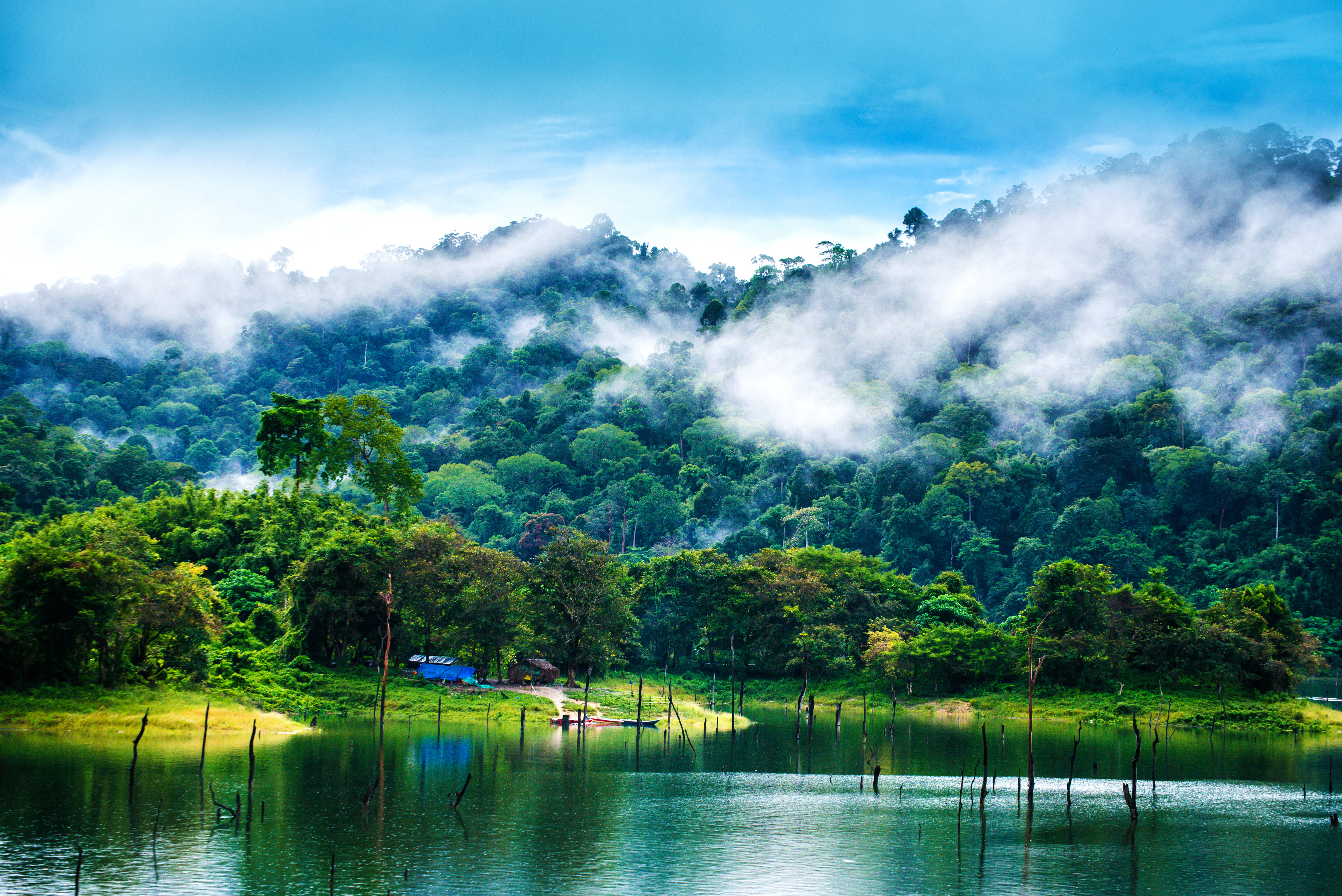 A view of dense green rainforest hills covered in low hanging clouds and mist, reflecting into the calm water of a lake with partially submerged tree trunks.