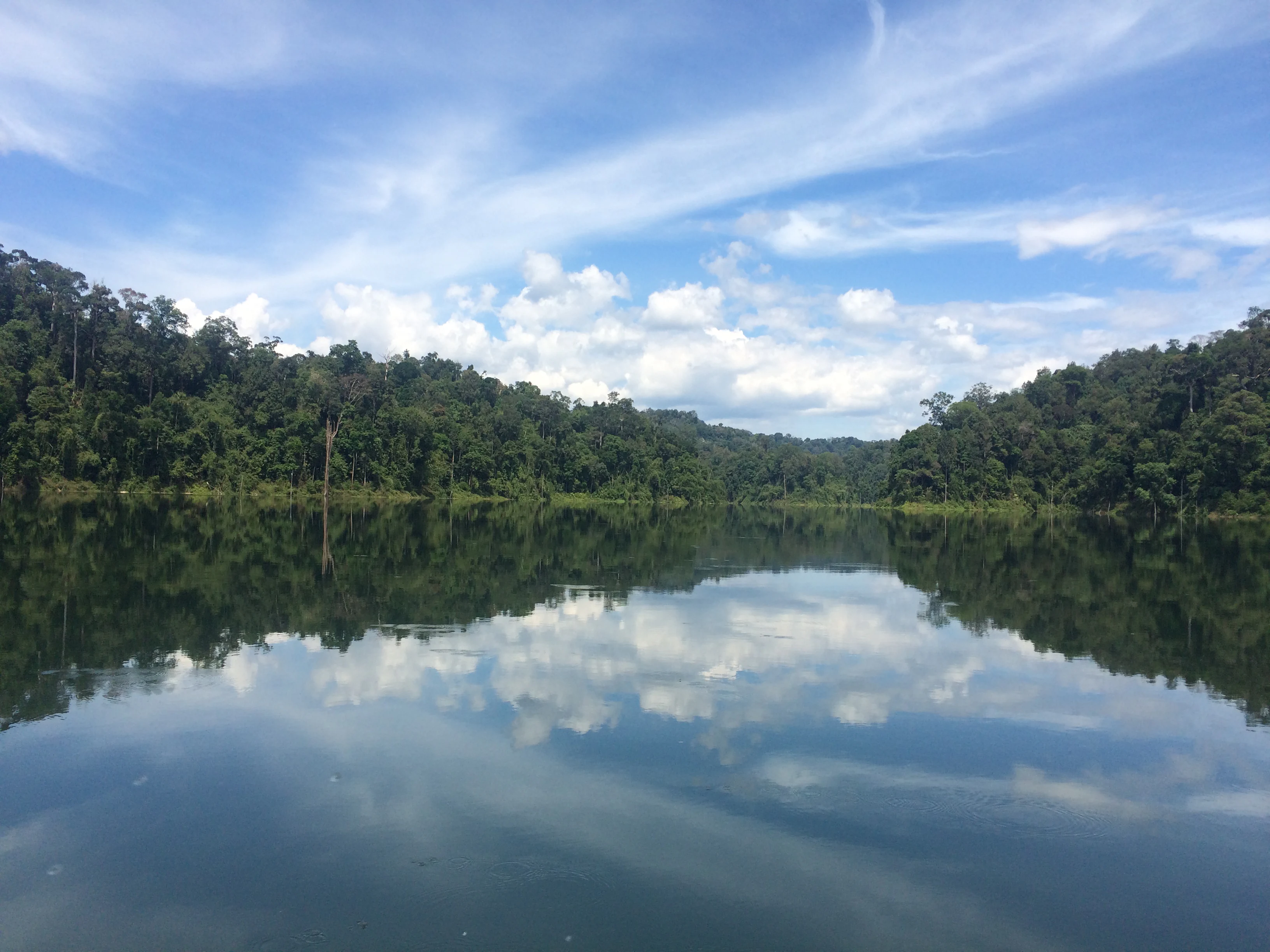 A wide, eye-level shot of Temenggor Lake in Malaysia, with dense tropical rainforest lining the shores and the bright blue sky and white clouds reflected perfectly in the still water.