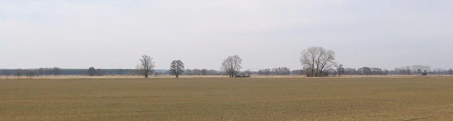 A wide, horizontal view of flat, brownish fields characteristic of the Belziger Landschaftswiesen in Germany, featuring scattered deciduous trees in the midground and a hazy, muted horizon.