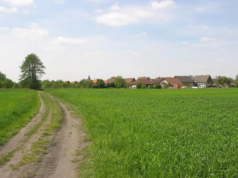 A dirt path stretches through a lush green field toward a village with houses and a church steeple in the distance under a blue sky.