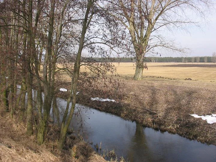 A narrow stream flows through a rural, open landscape with bare trees and lingering patches of snow on the ground in early spring.