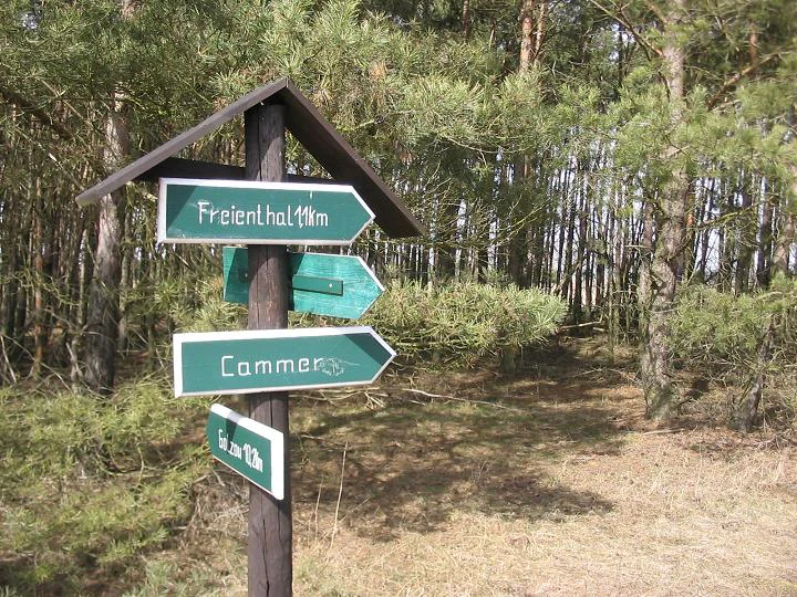 A brown wooden sign post with green directional signs pointing to Freienthal and Cammer stands in a pine forest.