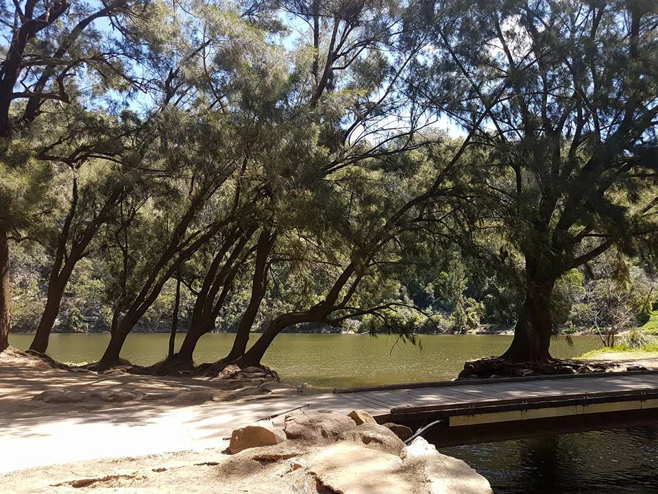 A wooden boardwalk bridge crosses a section of dark water, leading toward a shaded riverbank with large trees.