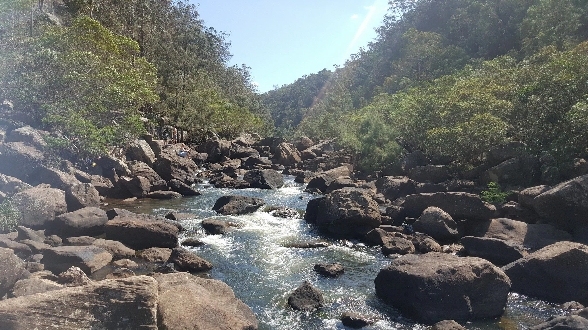 A rocky river flowing through a forested gorge with large boulders filling the riverbed.