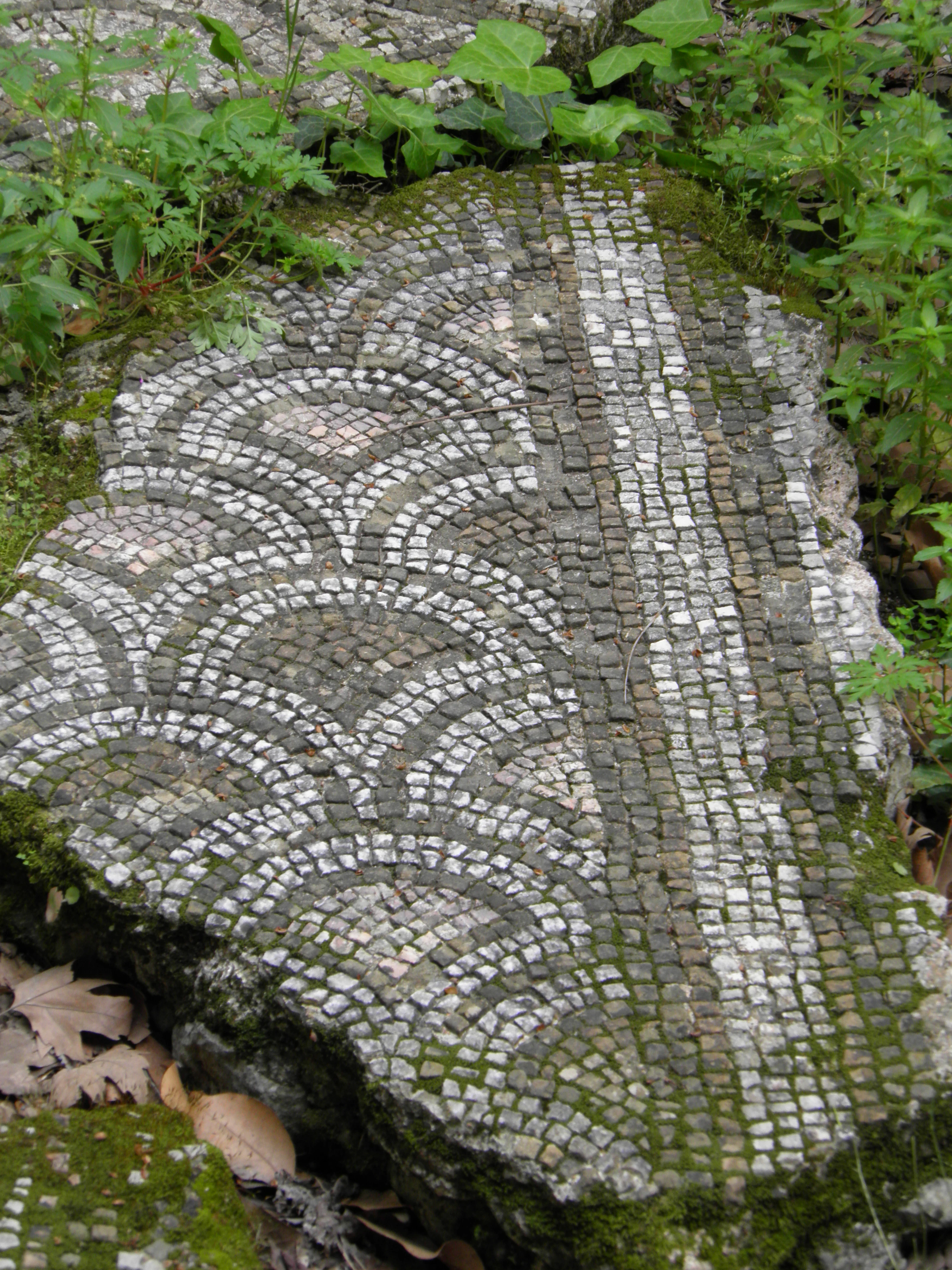 Close-up of ancient mosaic pavement on moss-covered stone surrounded by green foliage and dry leaves