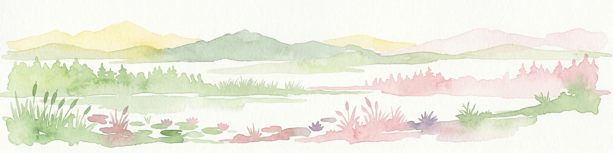 Ilustración de acuarela de un paisaje costero con montañas, nenúfares, juncos y un cuerpo de agua bajo un cielo pálido