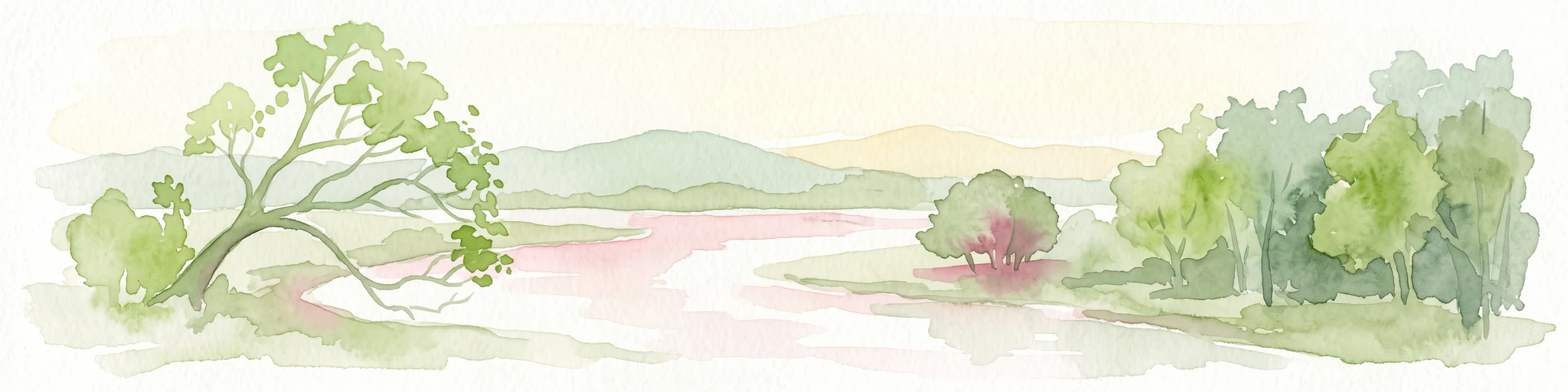 Una ilustración en acuarela que muestra un río serpenteante a través de un frondoso bosque de manglares con colinas al fondo.