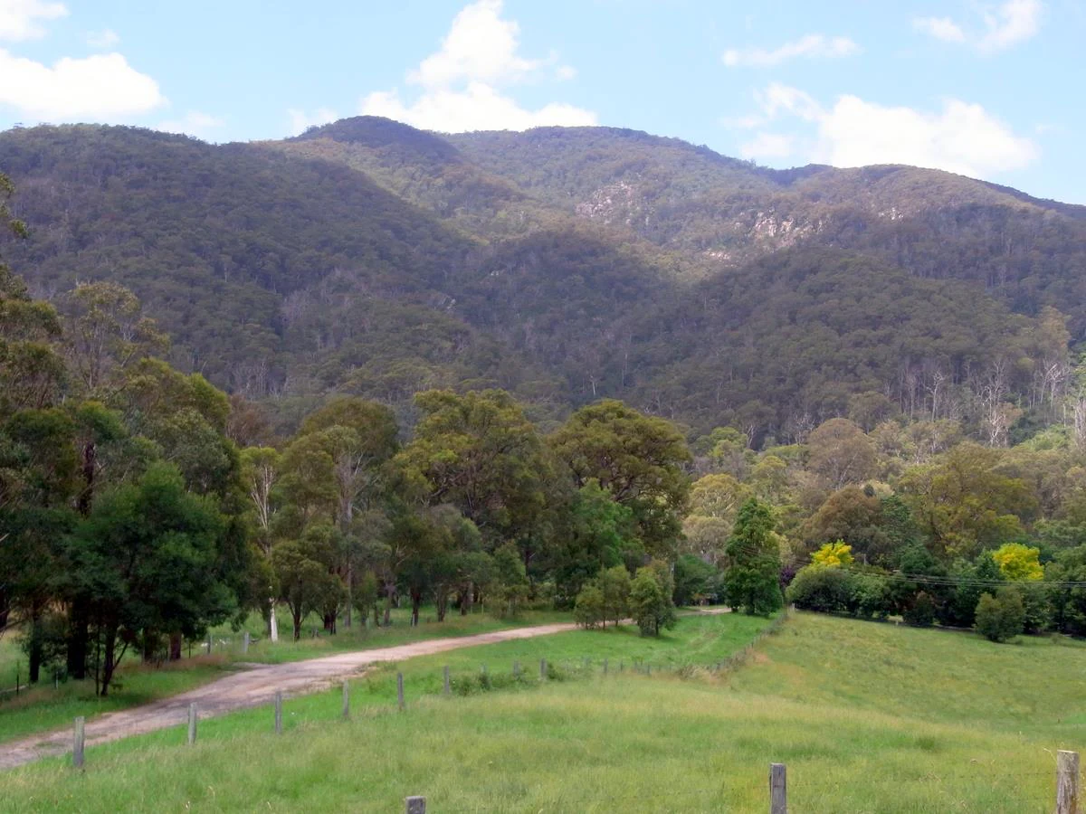 Mumbulla Mountain con laderas boscosas, campos de hierba y una carretera en primer plano bajo un cielo parcialmente nublado