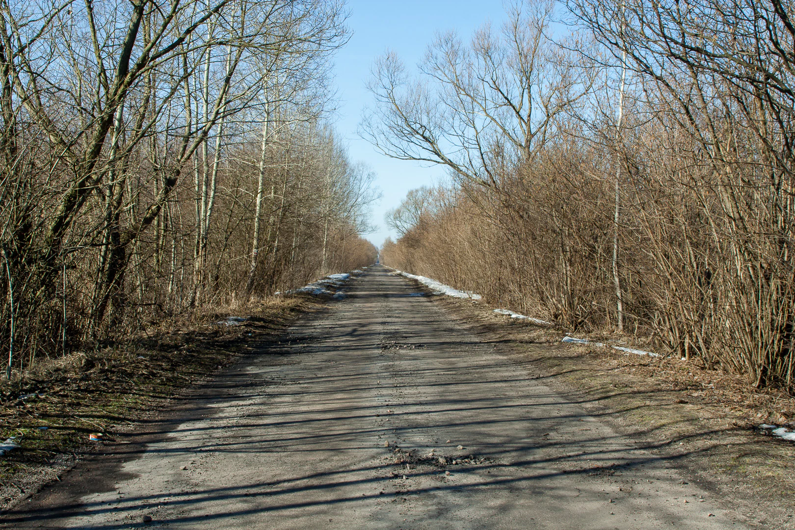 A gravel road stretches through a forested area with leafless trees and patches of snow under a clear blue sky