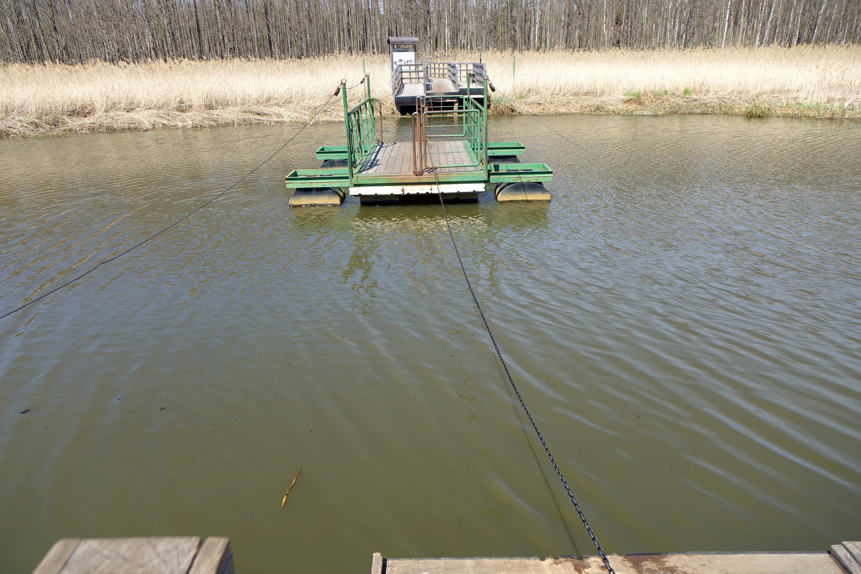 Green metal platform on a river with wooden docks, connected by ropes, surrounded by reeds and forest in the background