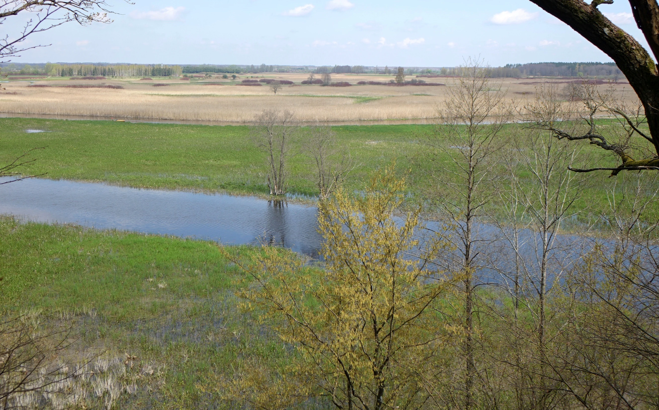Panoramic landscape of Biebrza National Park showing a river, wetlands, and distant fields under a partly cloudy sky