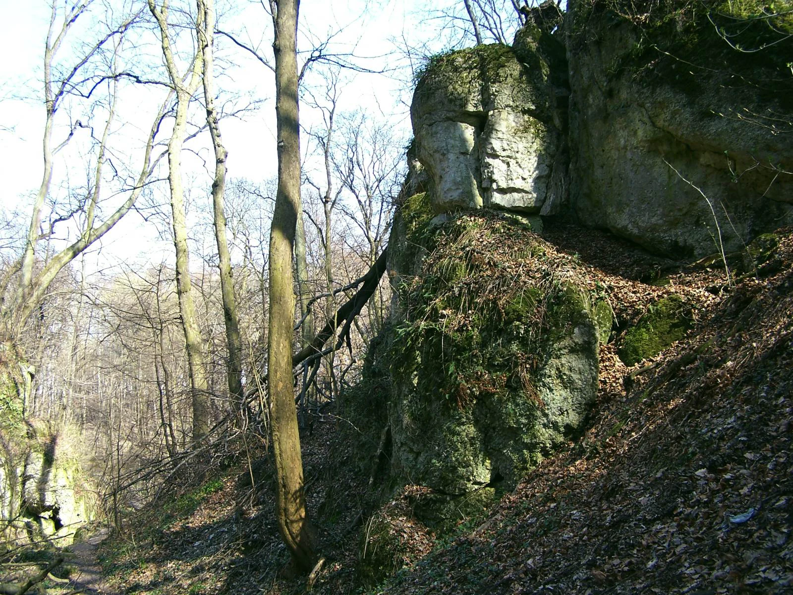 Panieńskie Skały