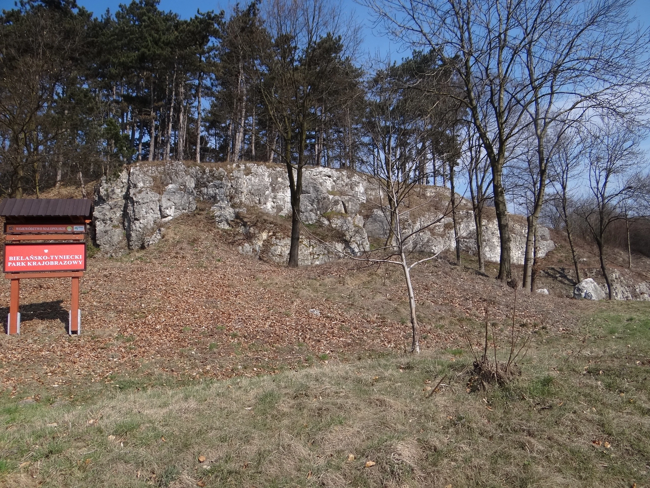 Celiny forest tract