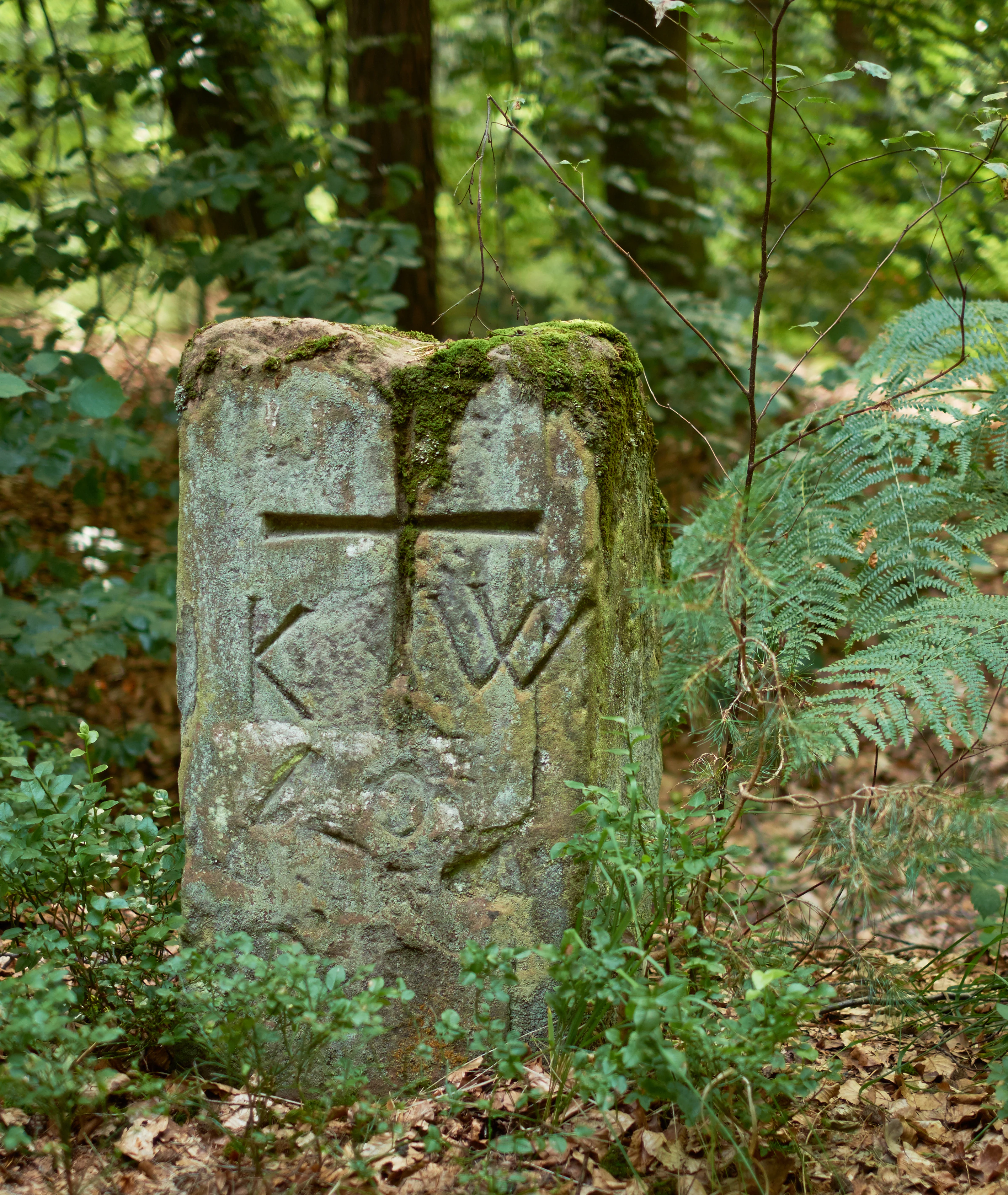 A weathered, moss-covered stone marker stands in a forest, featuring an engraved cross, the letters K and W, and additional faint carved symbols.